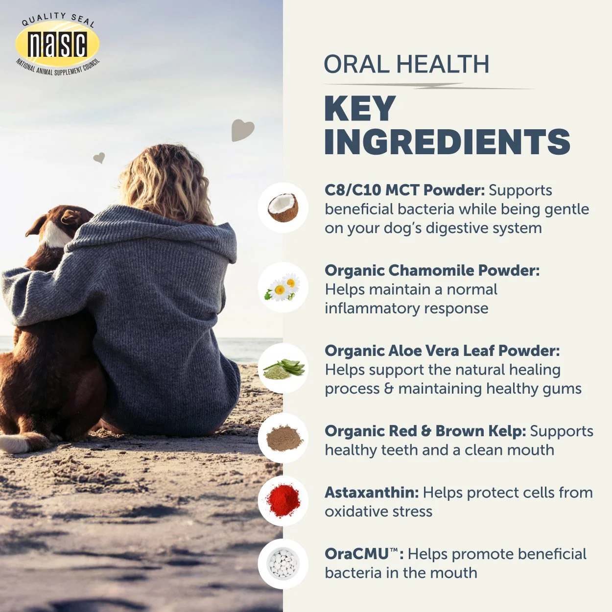 Oral Health_Key Ingredients_2500x2500.jpg
