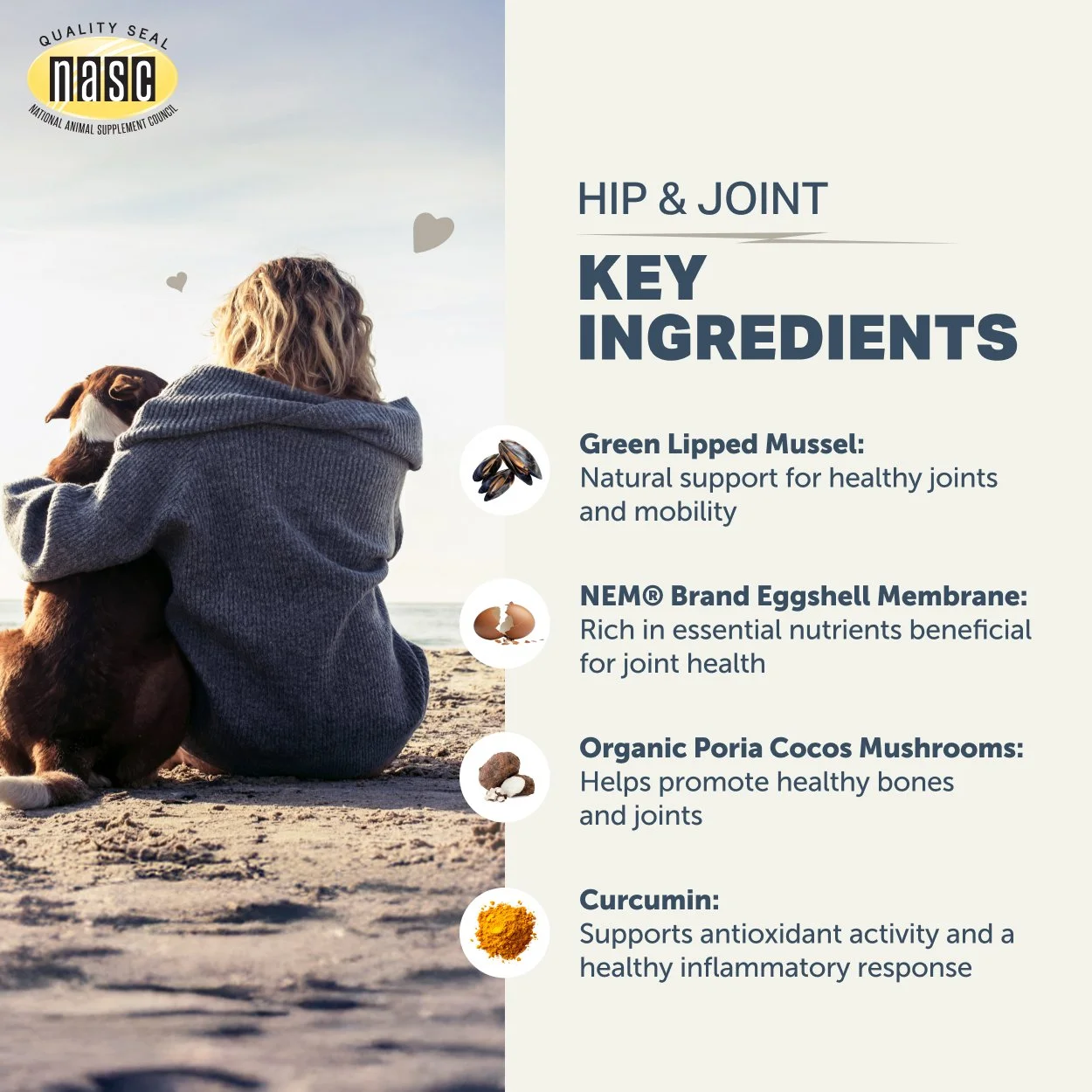 Hip & Joint_Key Ingredients_2500x2500.jpg