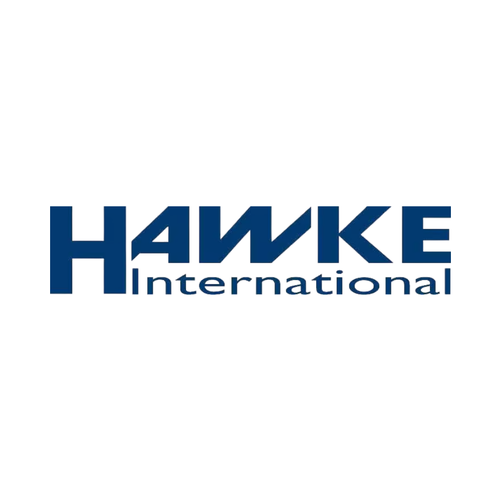 Hawk International logo with the text 'Hawk International' in blue and black on a transparent background.
