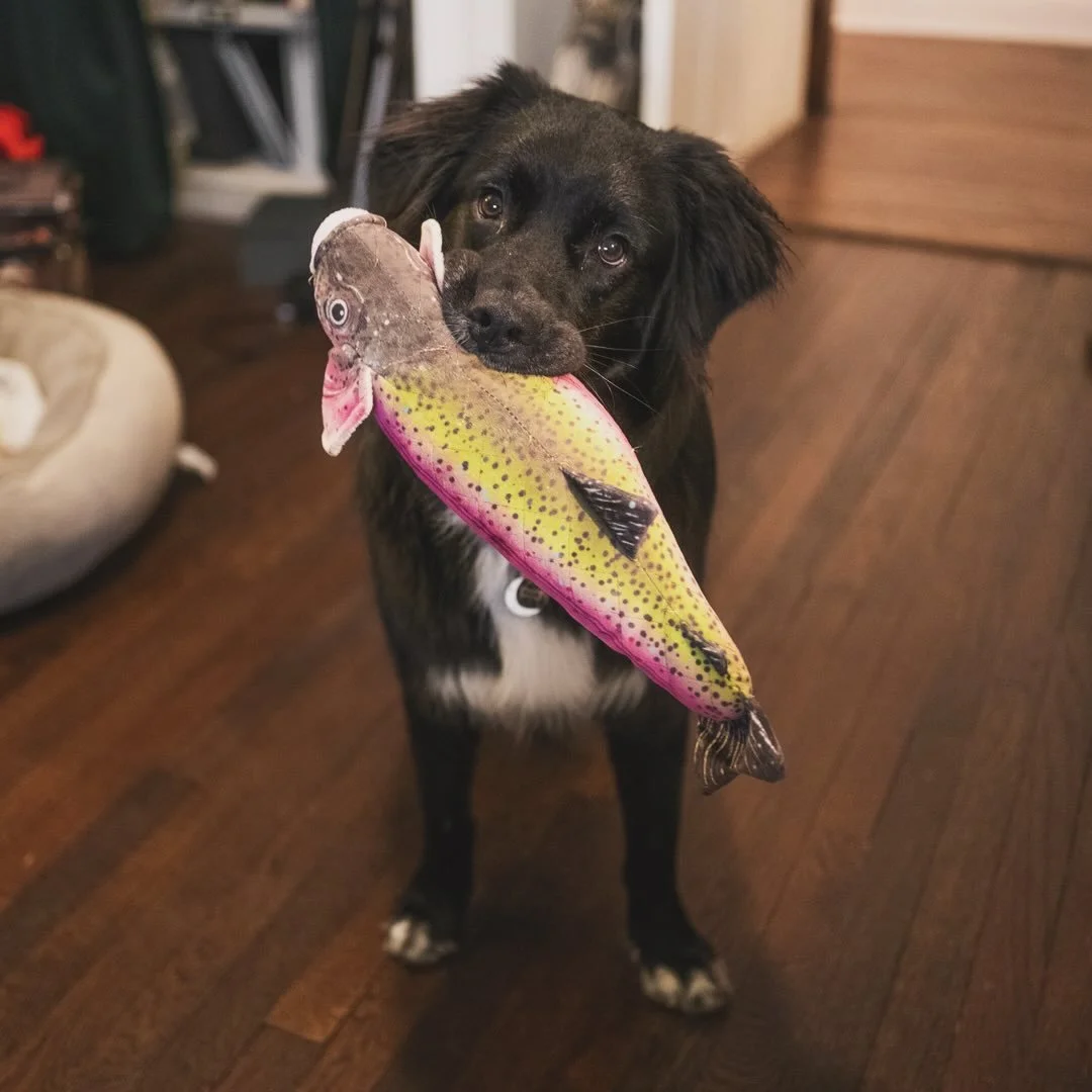 Catch o&rsquo; the day. 😋