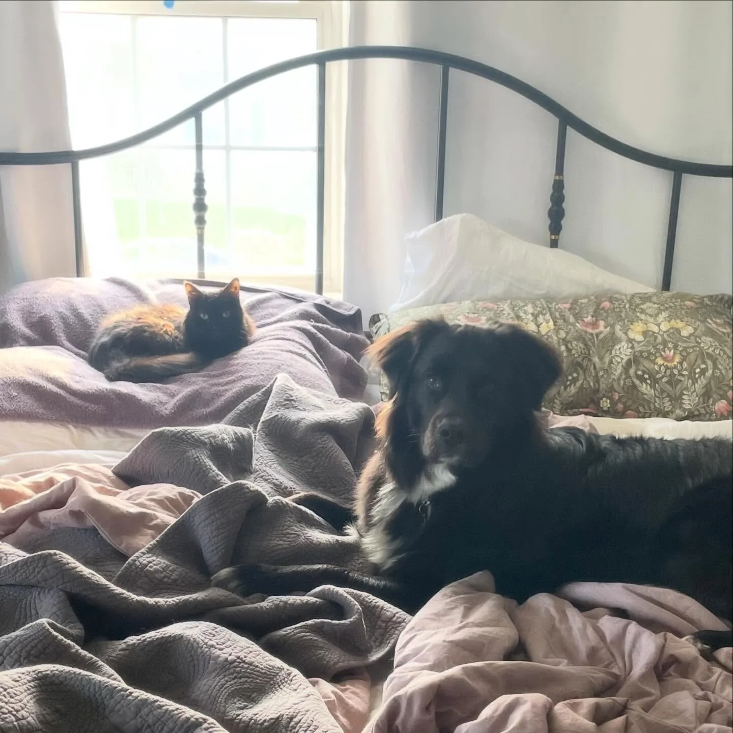 Co-existing &hellip; for now. 🙄