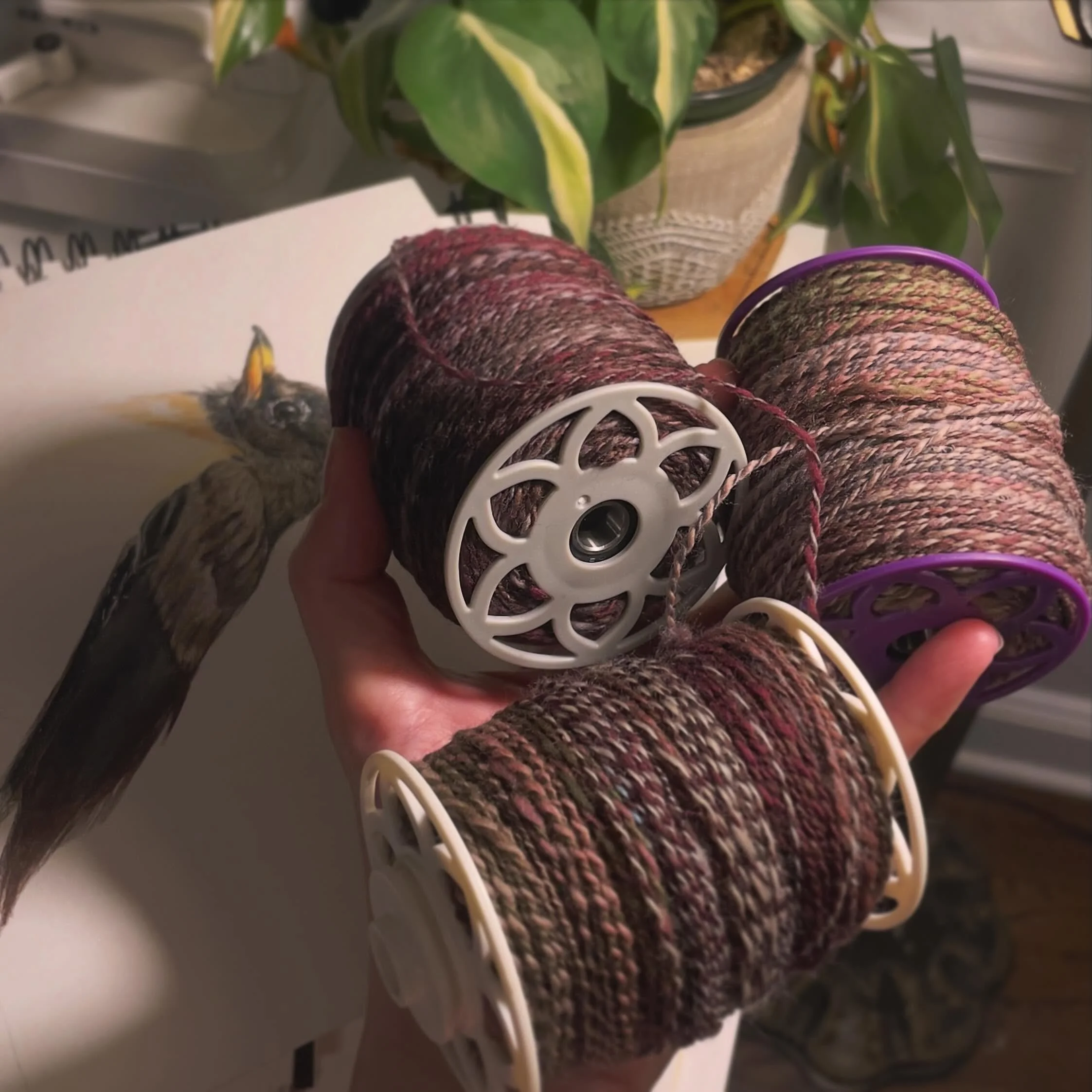 More fruits of my spinning labour. 😌🧶

Spun all of this on my Electric Eel Wheel Nano 2 with more @ThreeWatersFarm hand dyed fiber. 

#electriceelwheelnano2 #spinning #handspunyarn