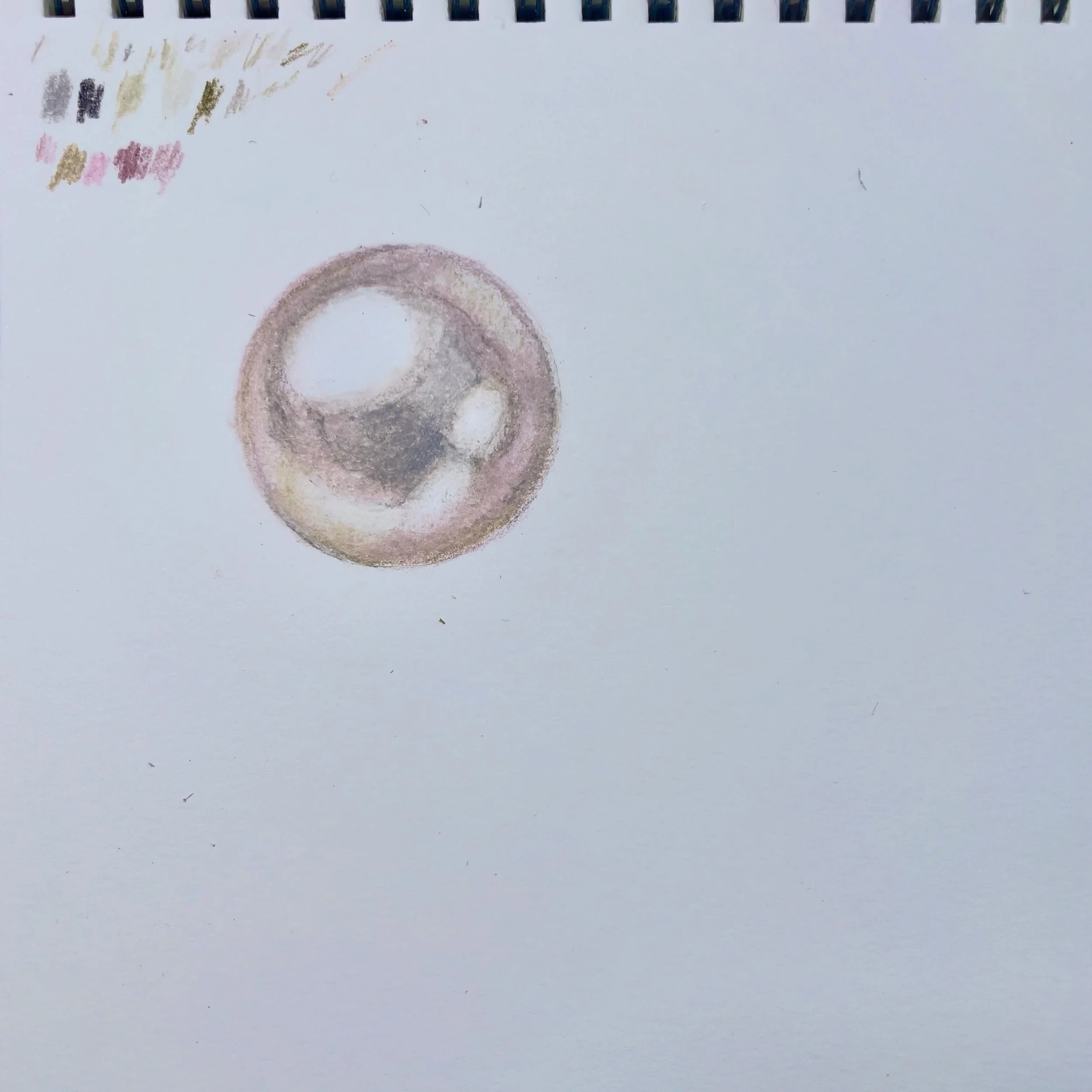 Today&rsquo;s colored pencil adventure. 🦪😋