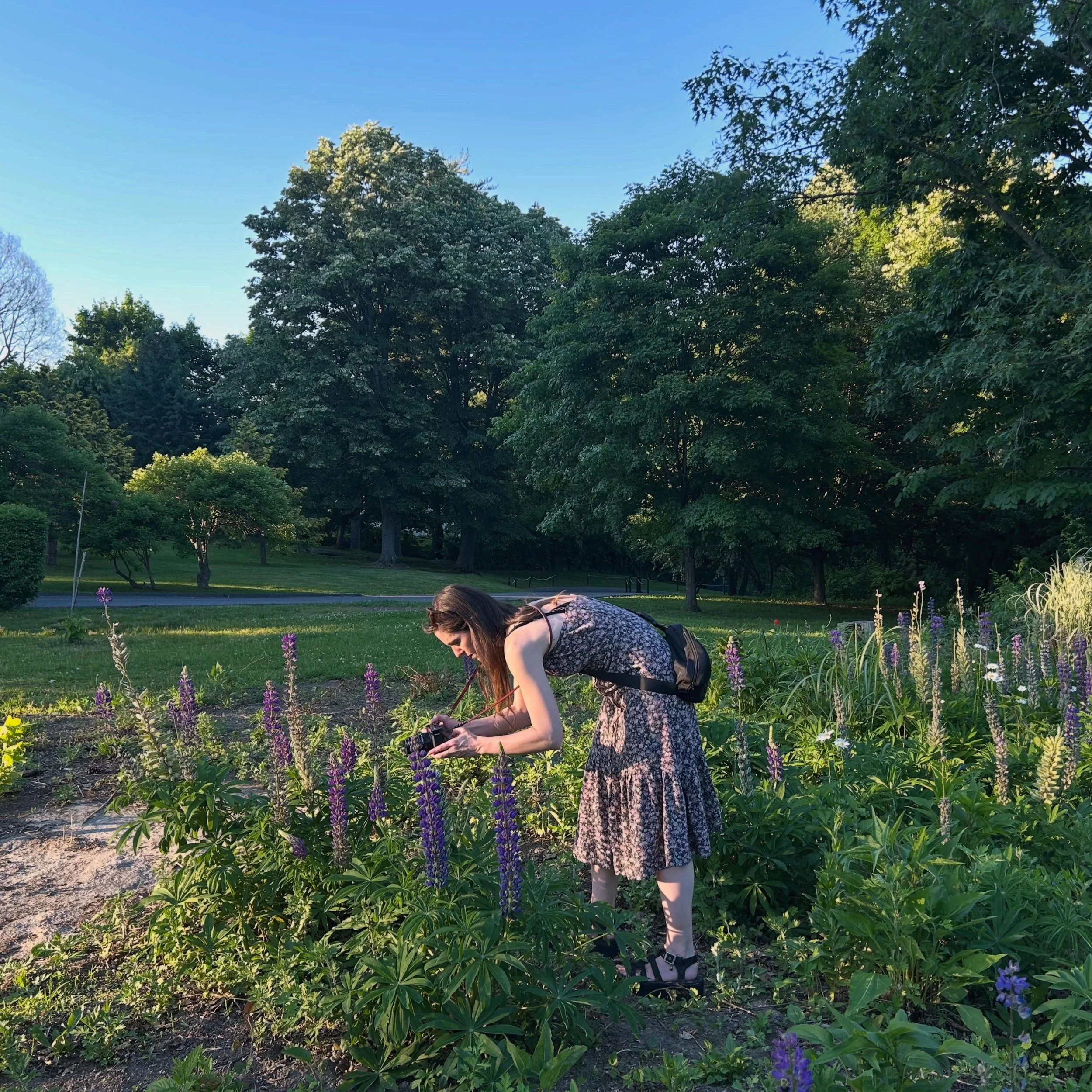 RE: my last post. The BTS of it all. Thanks Dennis. 💖
🤣🌿📷

Also Dennis: &ldquo;You&rsquo;re going to get ticks!&rdquo; 😐
