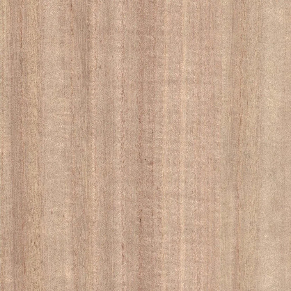 Wood-Veneer-Natural-Palette-behang-N158NV1014-Greenland-Selected-Wallpapers-3_1800x1800.jpg