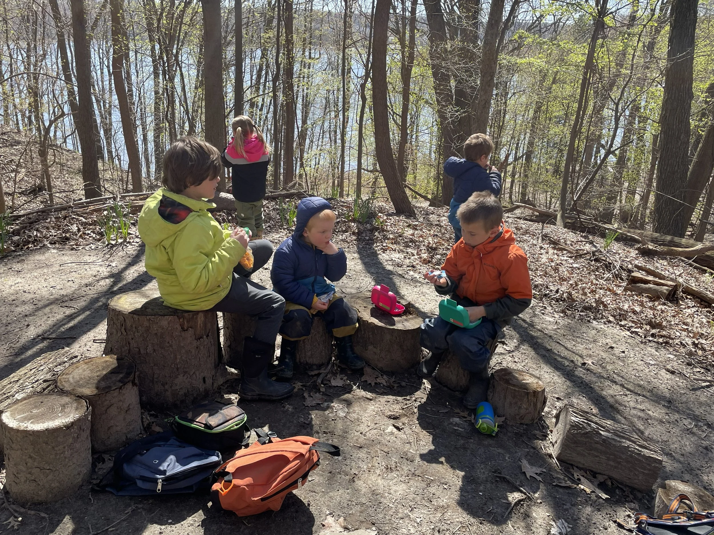 Five children sitting and standing on tree stumps in a wooded area during the daytime, some eating and others exploring, with backpacks on the ground.