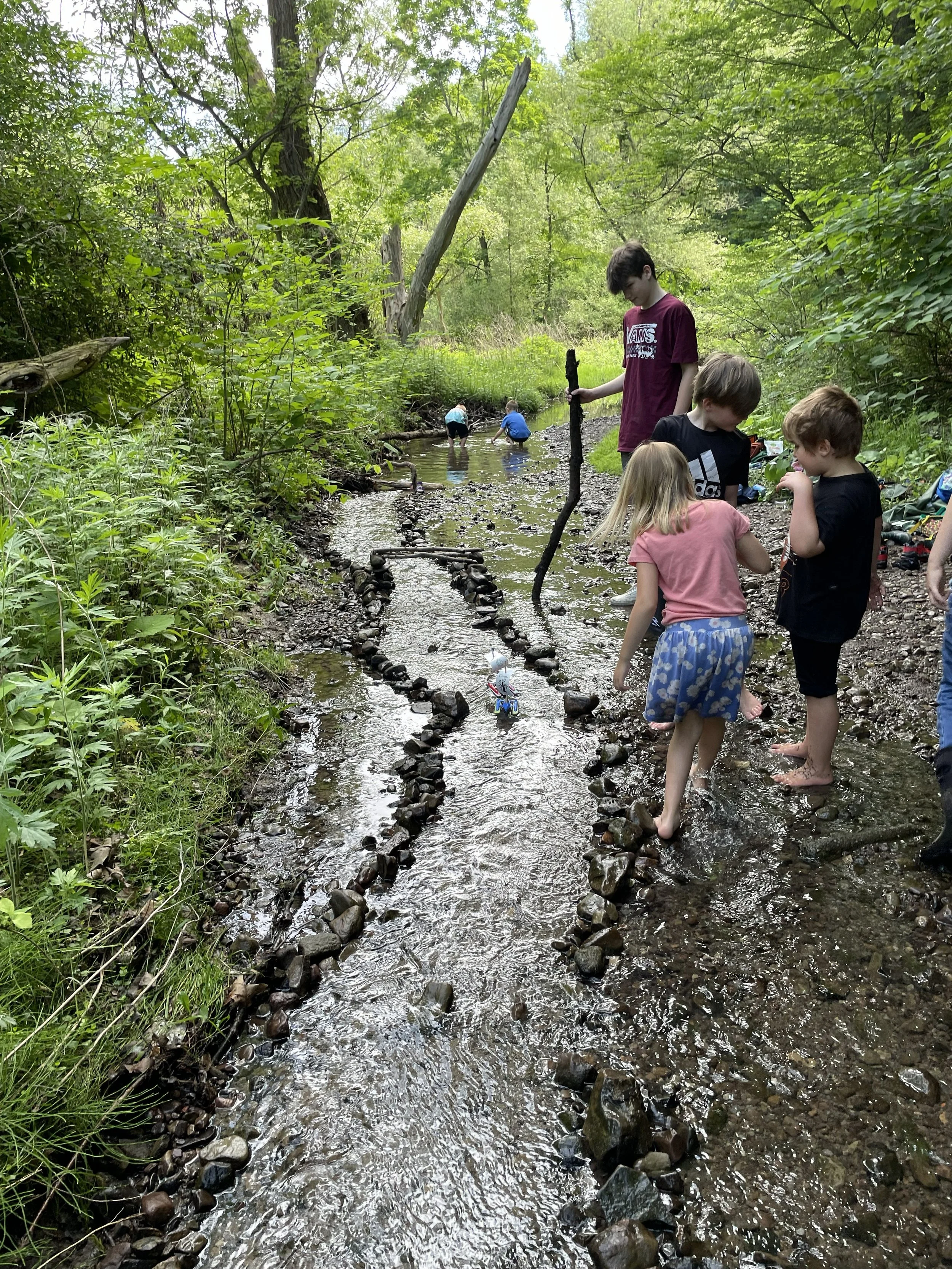 Children playing in a shallow stream in a wooded area, with some kids wading in the water and others arranging rocks along the bank.