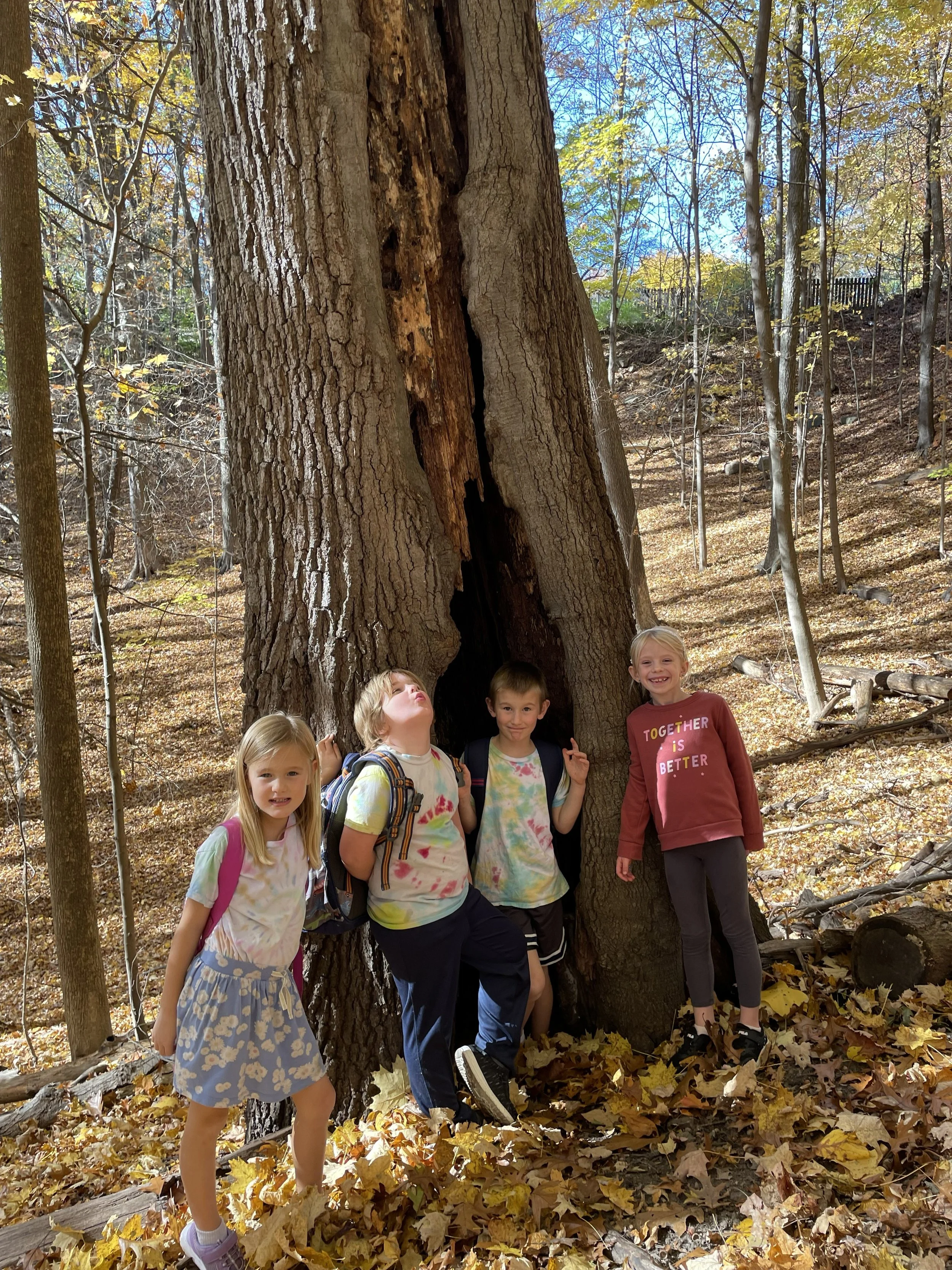 Four children standing near a large hollow tree in an autumn forest, surrounded by fallen leaves, with sunlight filtering through the trees.