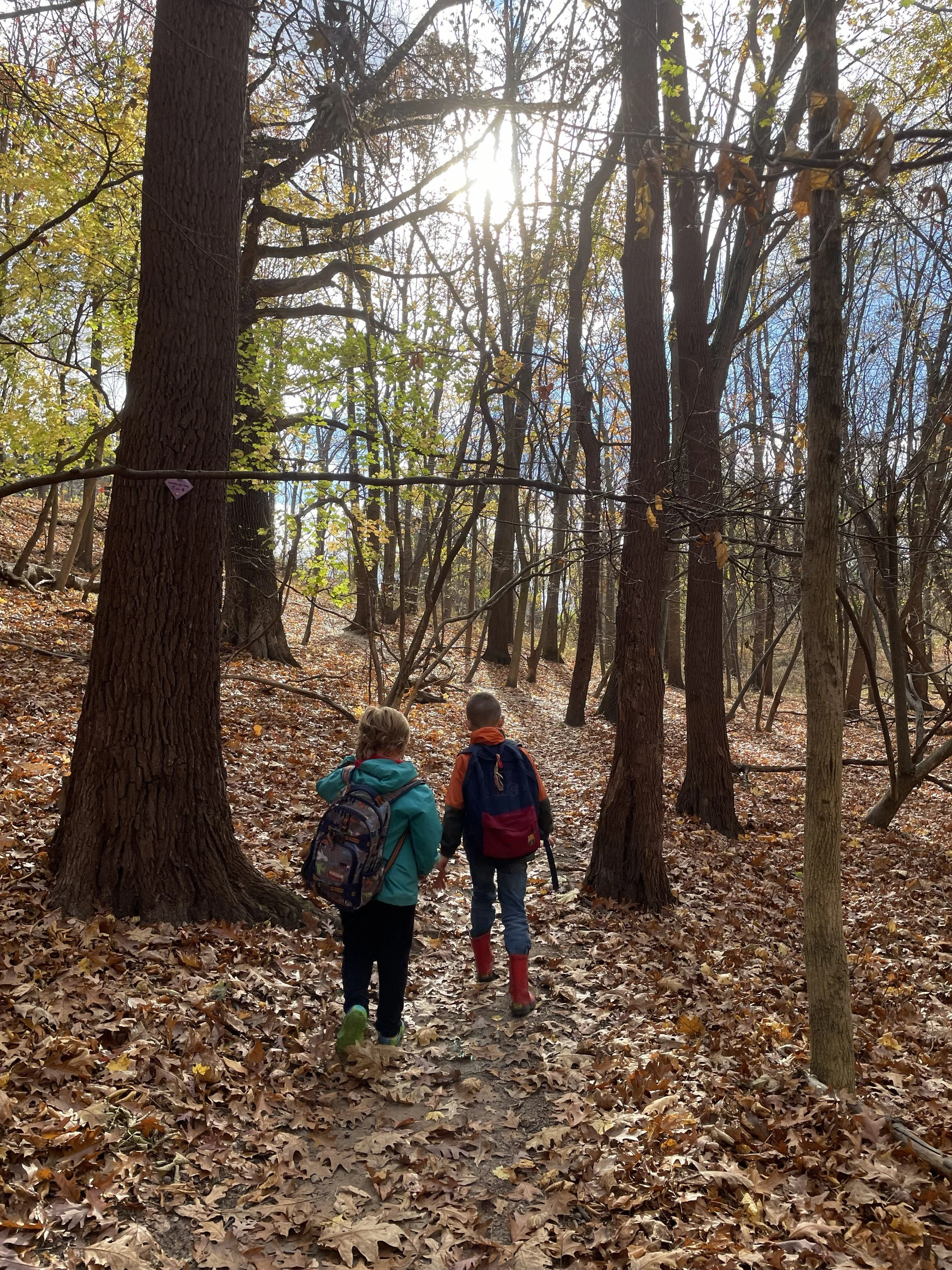 Two children hiking on a leaf-covered trail through a forest with tall trees and sunlight filtering through the branches.