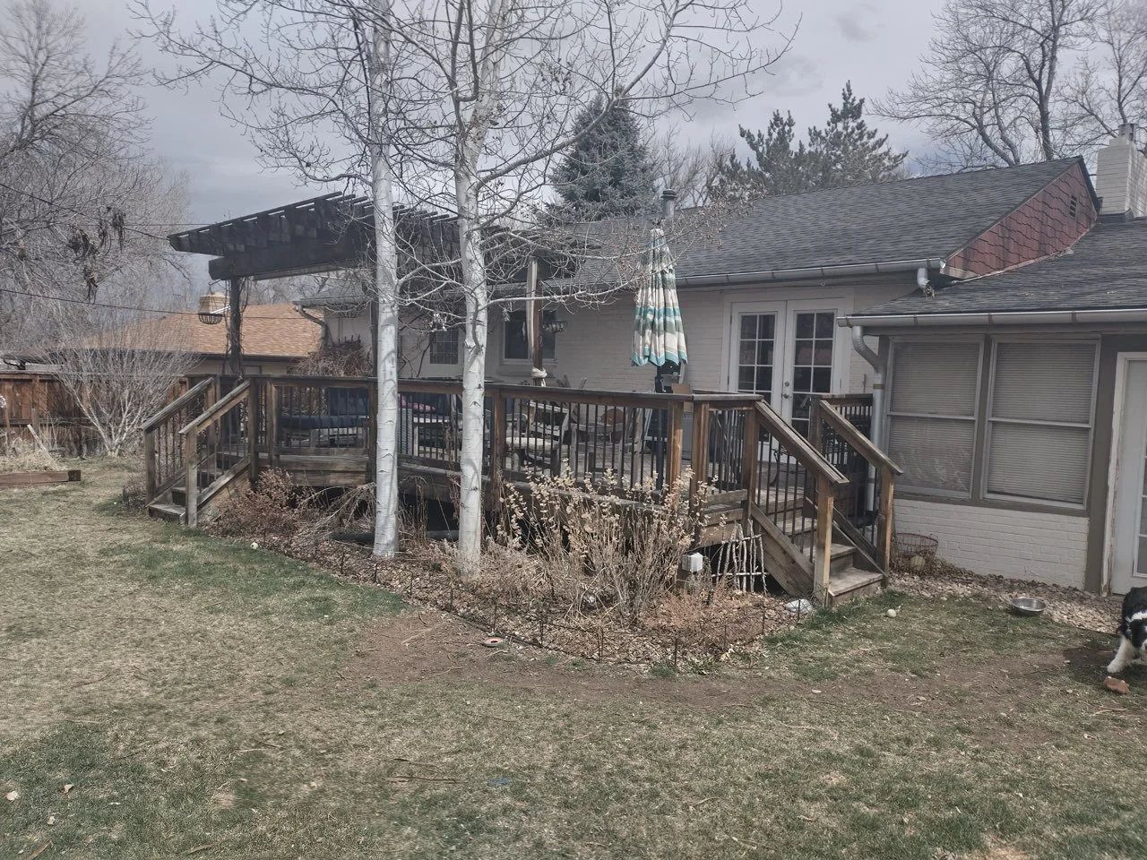 Backyard with a wooden deck, two leafless trees, patio furniture, a striped umbrella, and a dog in the grass.