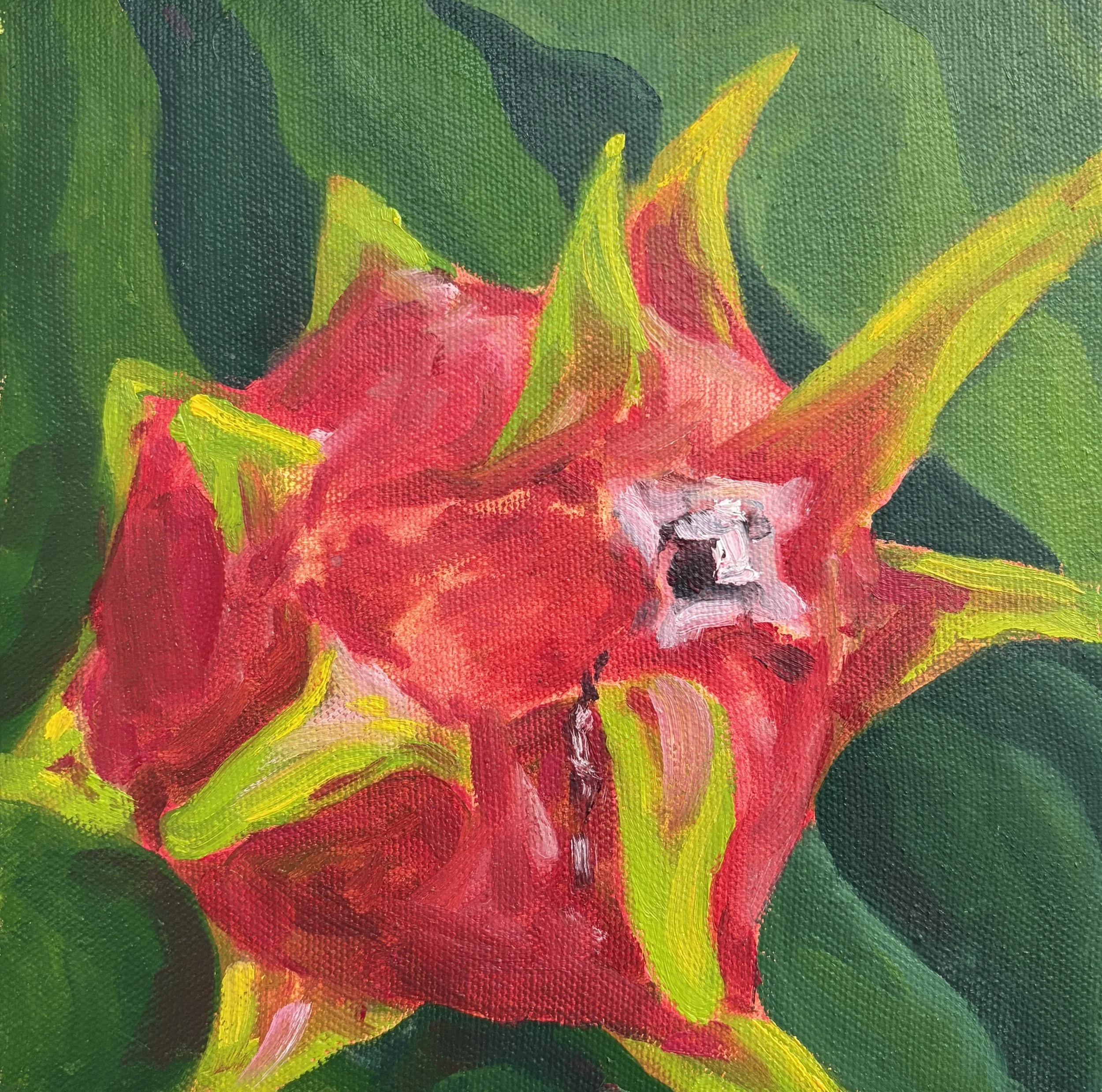 Onix Xadiel Mejias Rodriguez - Dragón detrás de la casita