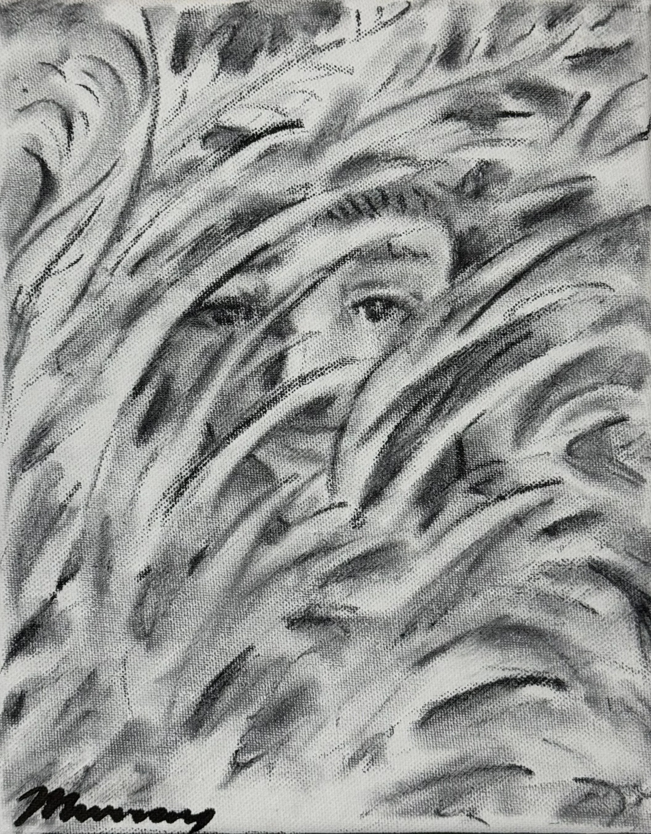 Phillip Murrary - Artist in the Brush