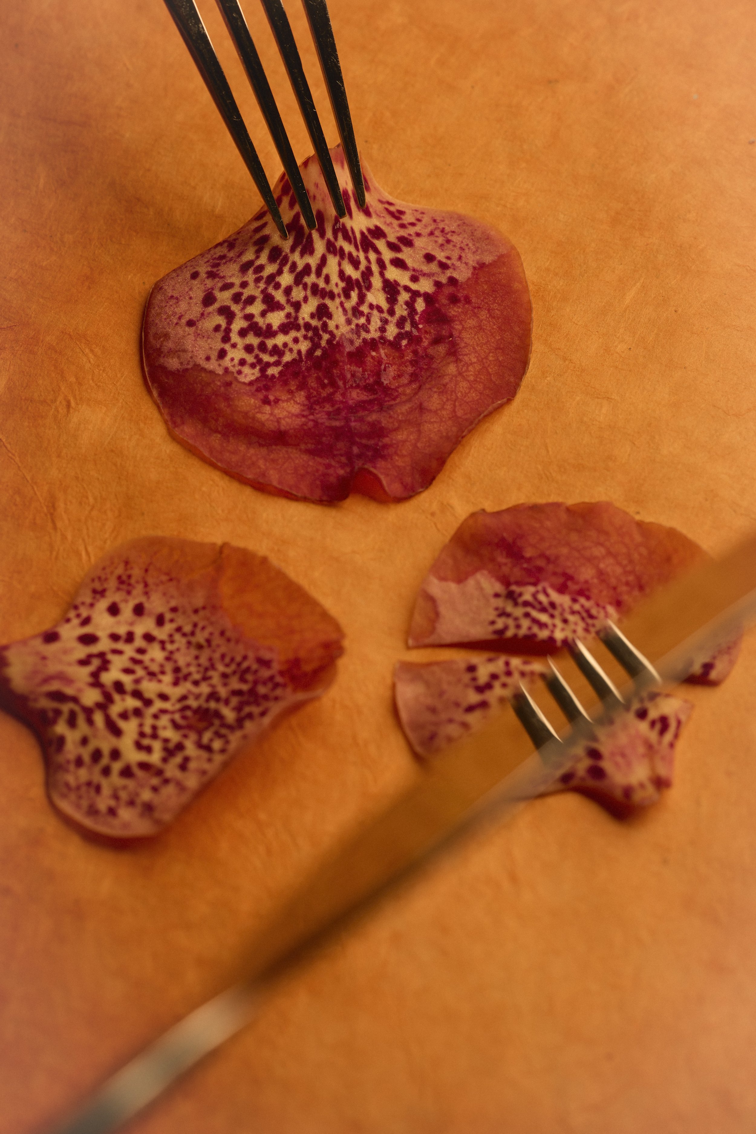 Ellen Yang - Taken Apart (2026)