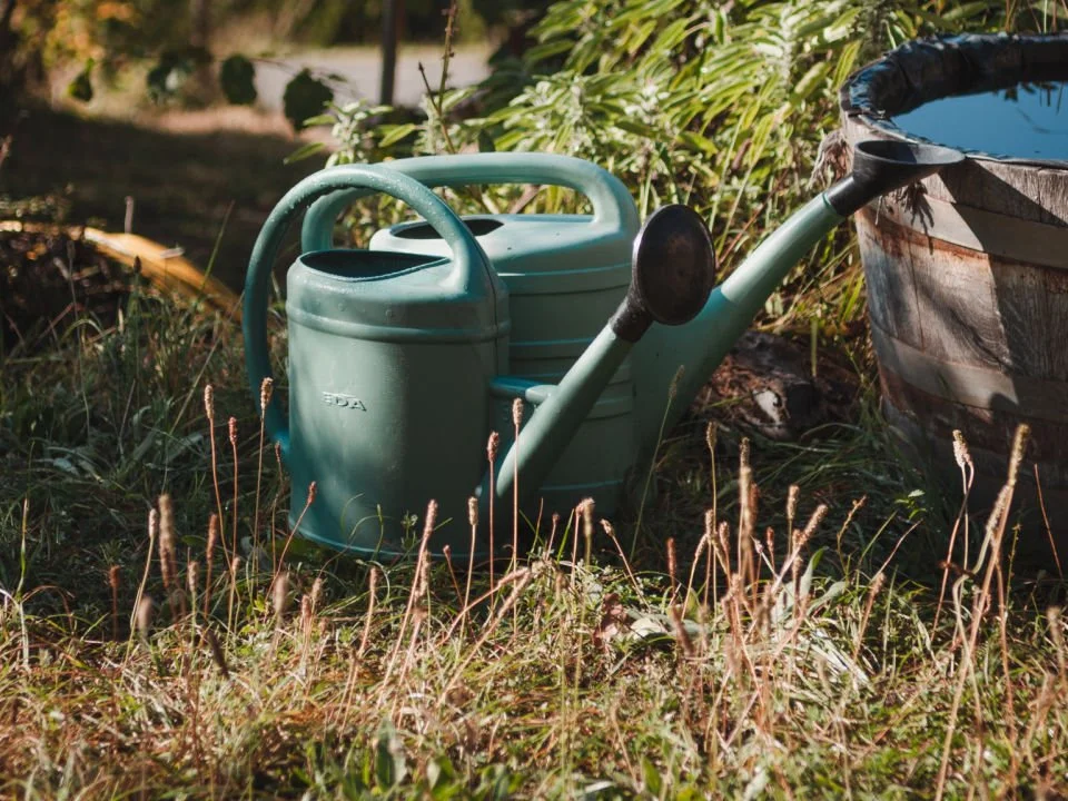 Watering cans & bucket