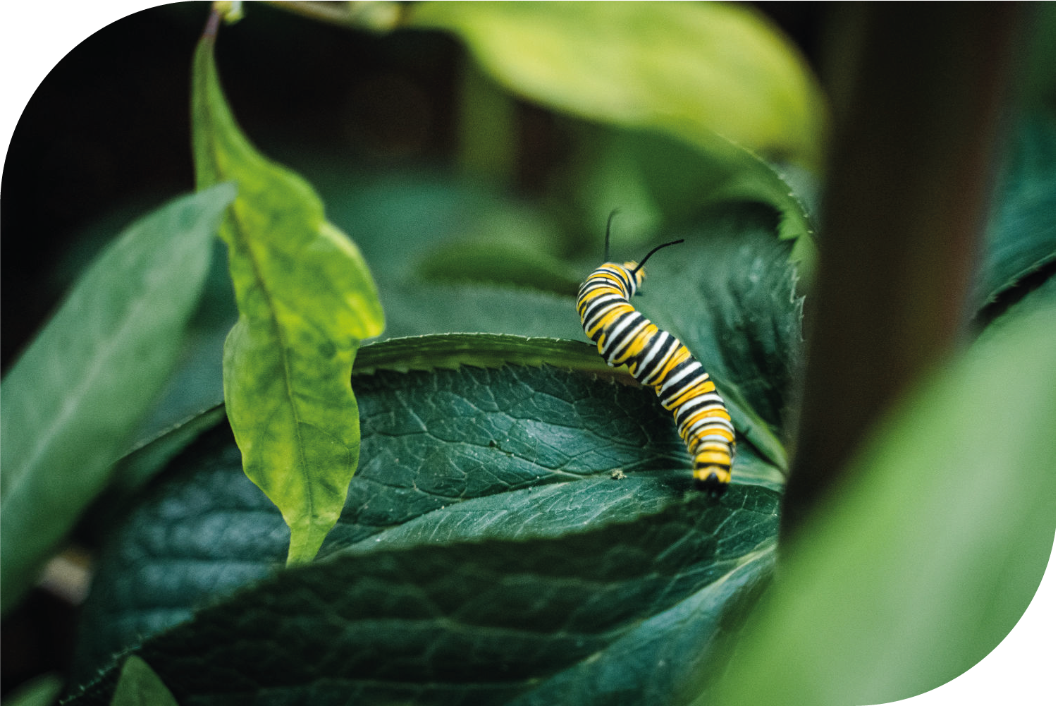 3 Things You Need to Know To Become Self-Sufficient