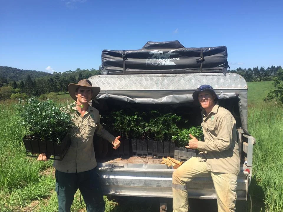 Organic Gardens & Maintenance