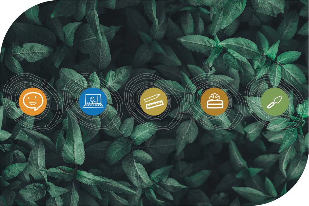 Our 5 Step Design Process