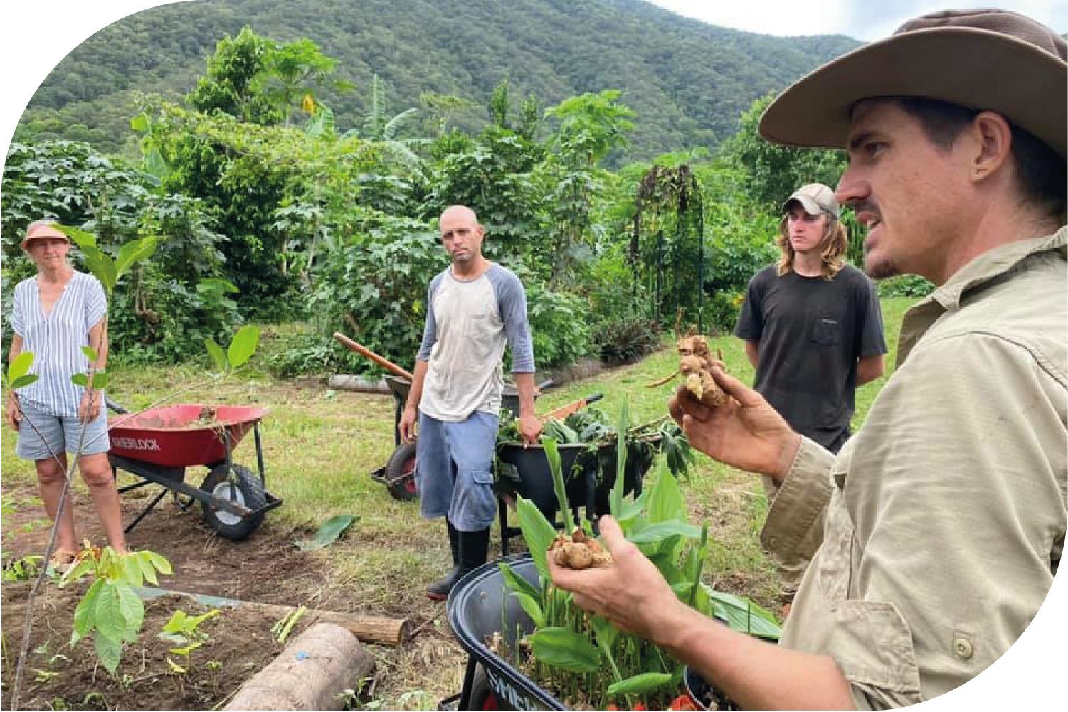Permaculture Power Up 2 day workshop