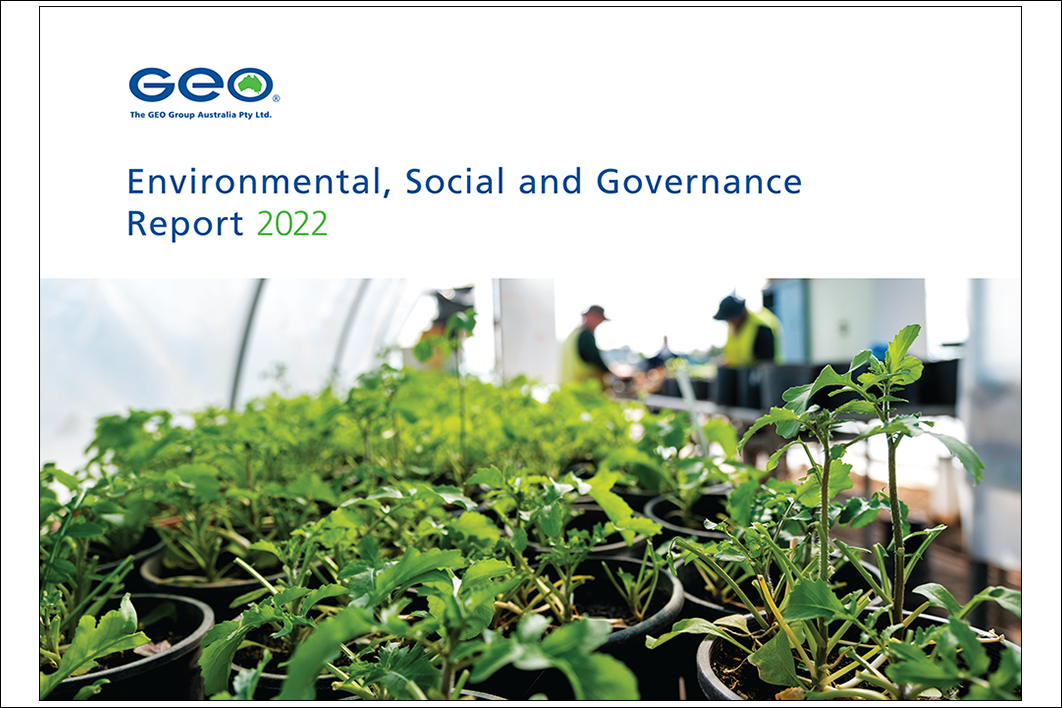 GEO ES and G Report