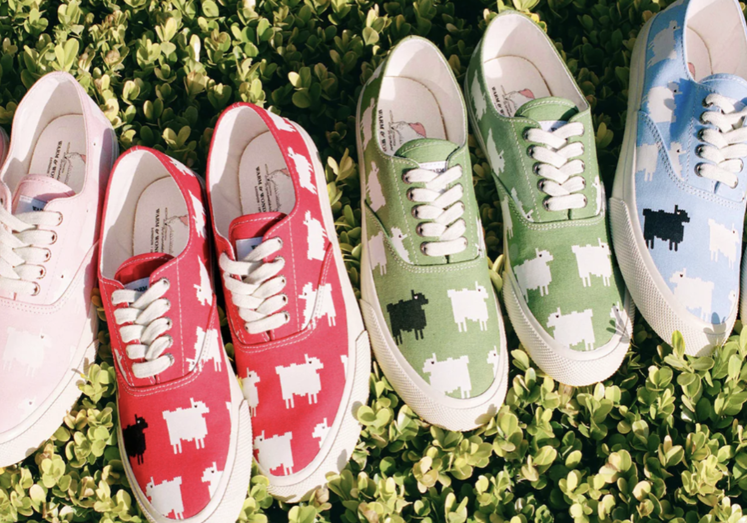 sperry x    warm and wonderful