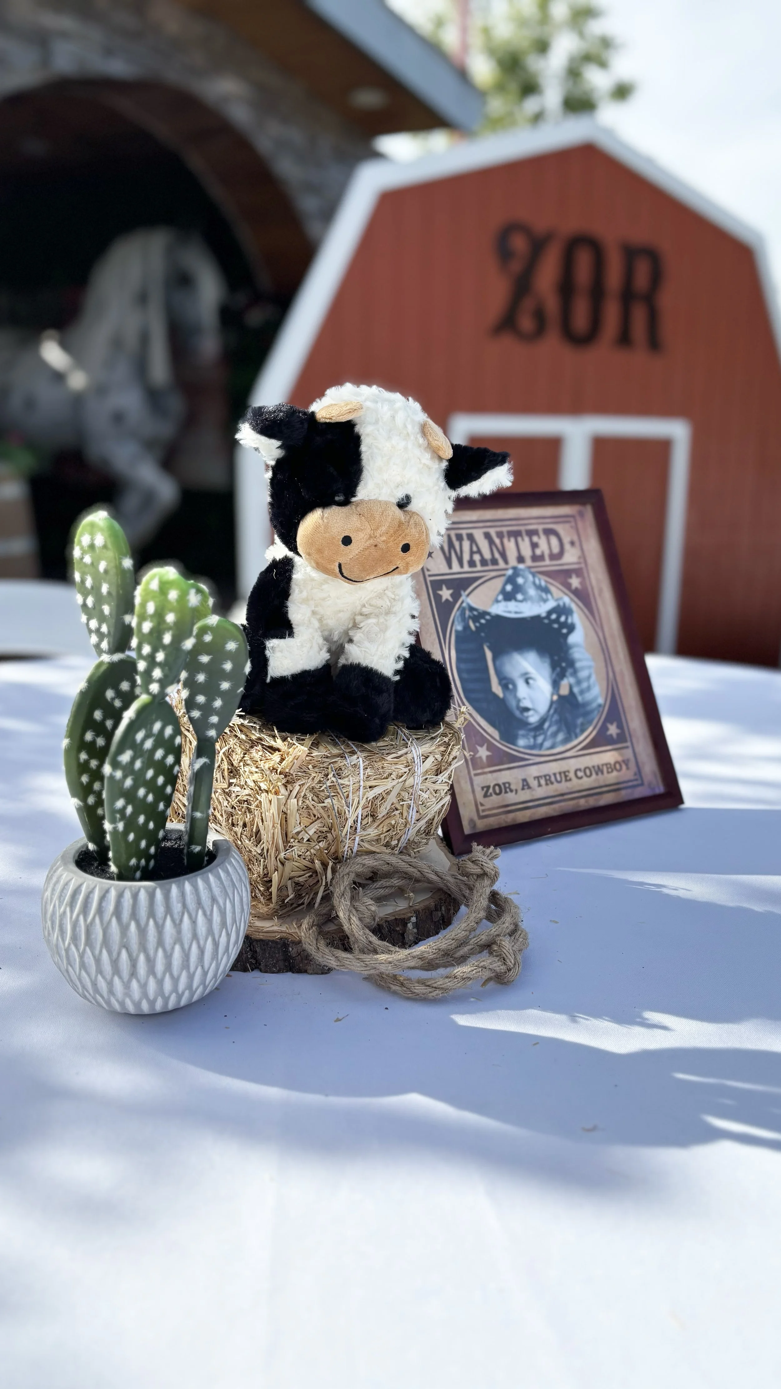 IMG_8342-2 copie.jpg