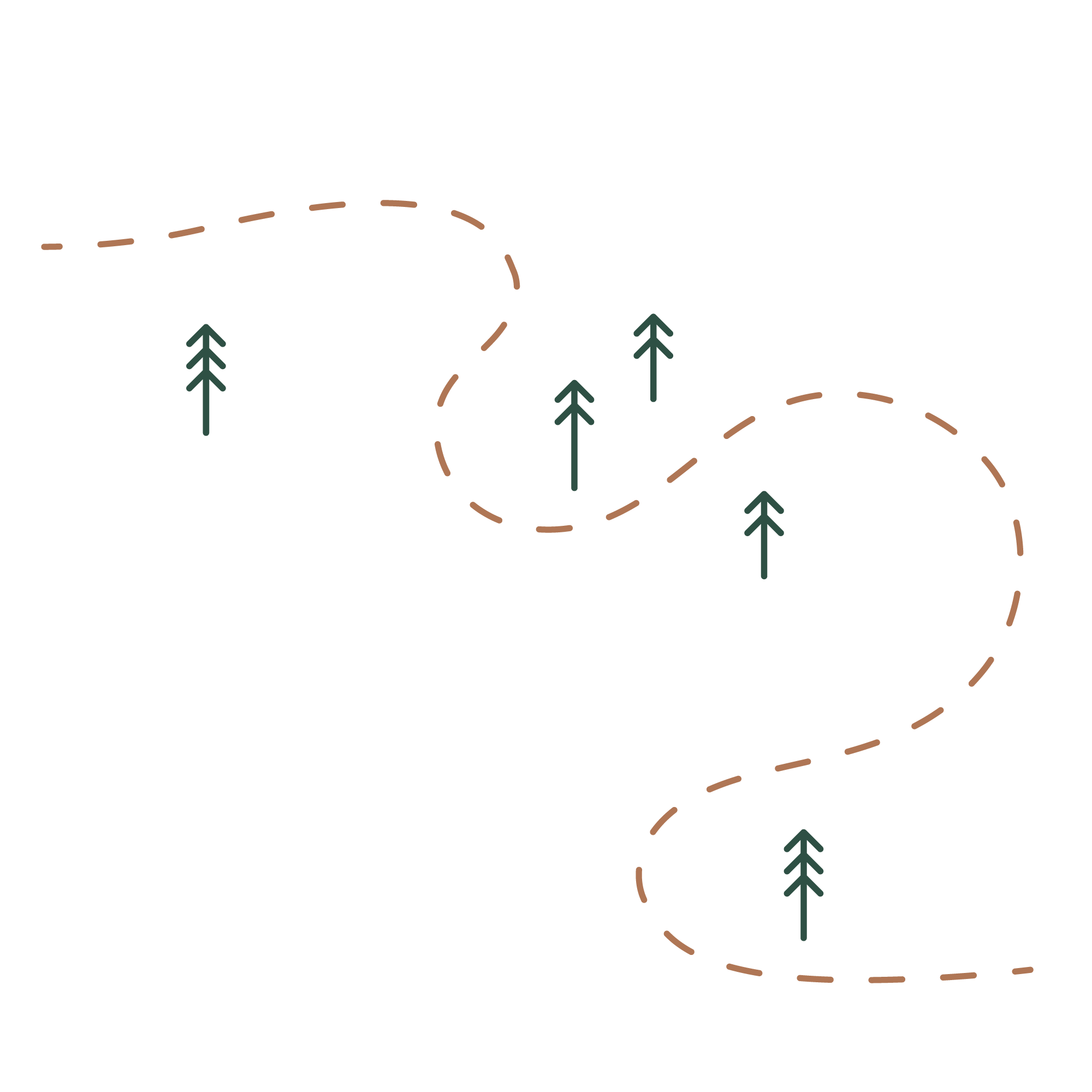 A diagram showing a winding mountain trail with four trees along the path, marked by dashed lines and arrows indicating the trail's direction.