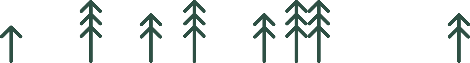 Simple stylized forest of pine trees