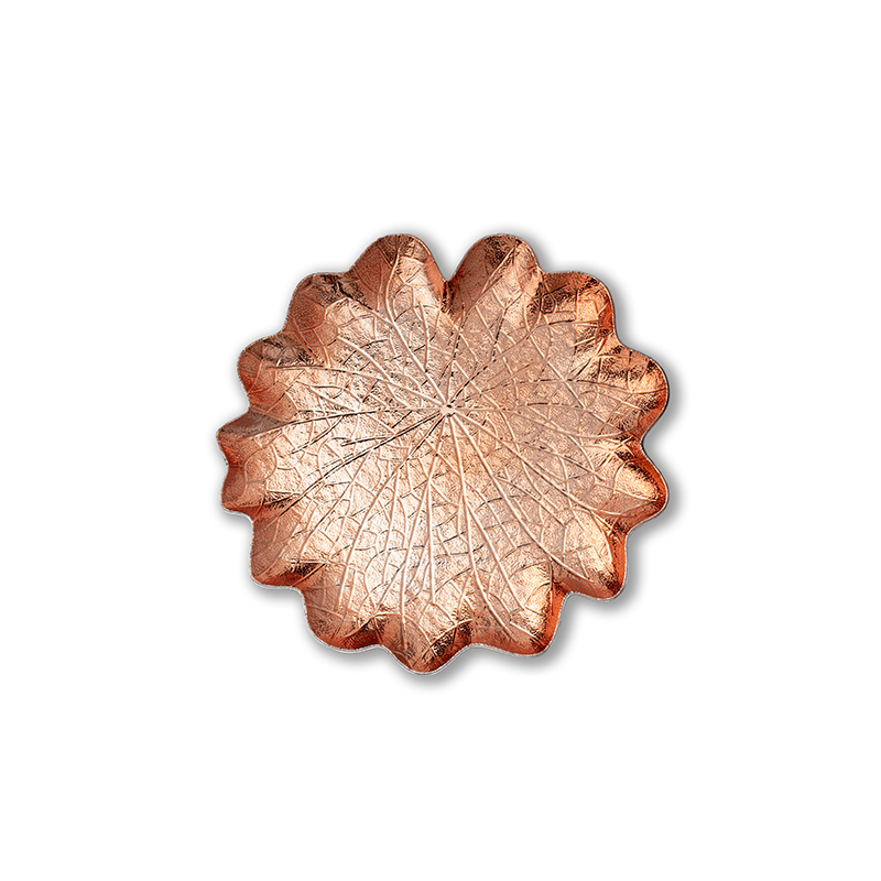 Arce-rose.png