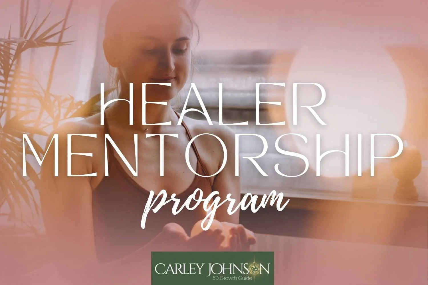 Healer Mentorship Program
