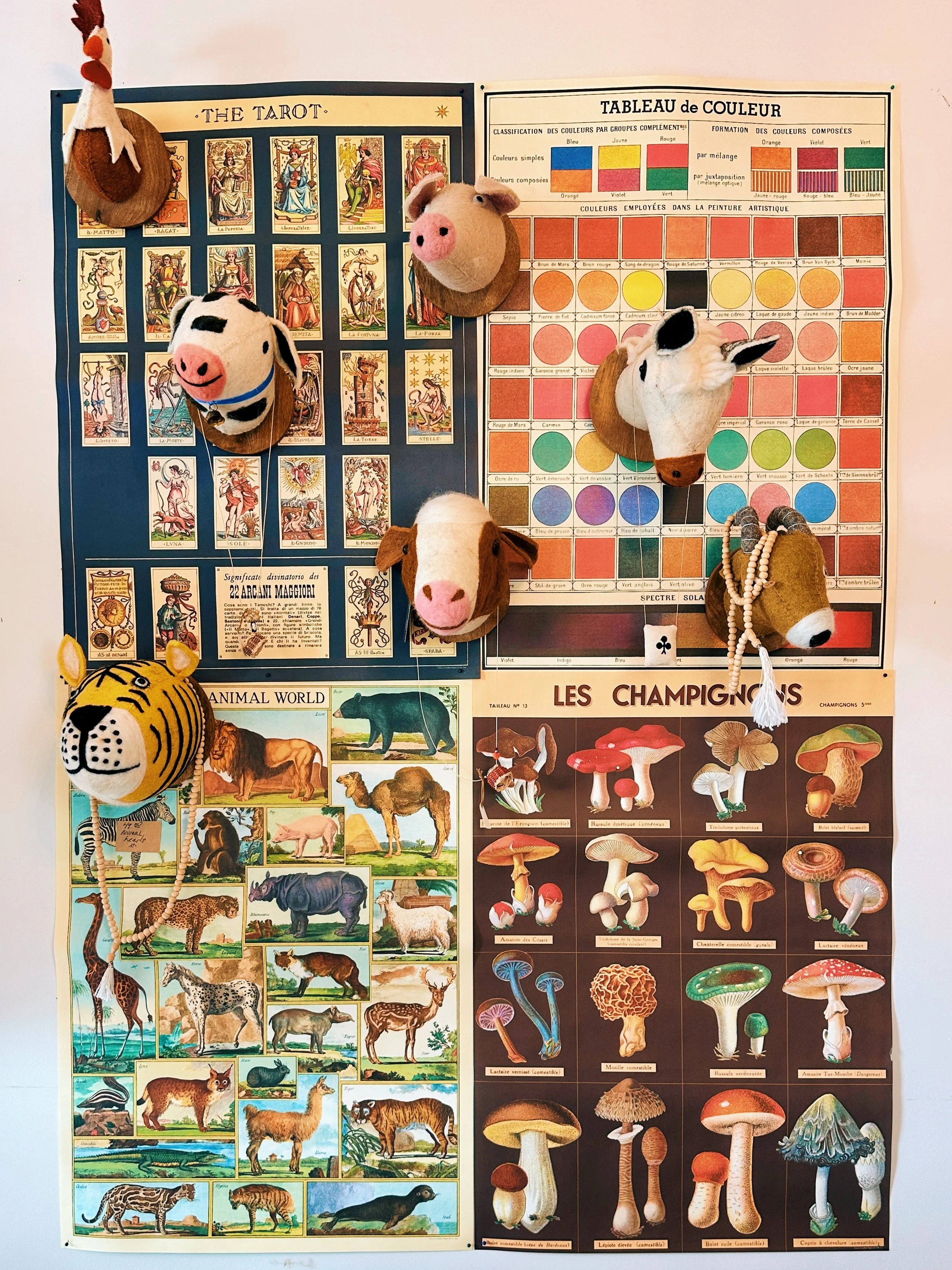 Educational wall posters featuring tarot cards, color theory charts, and illustrations of various animals and mushrooms, with plush animal toys attached.