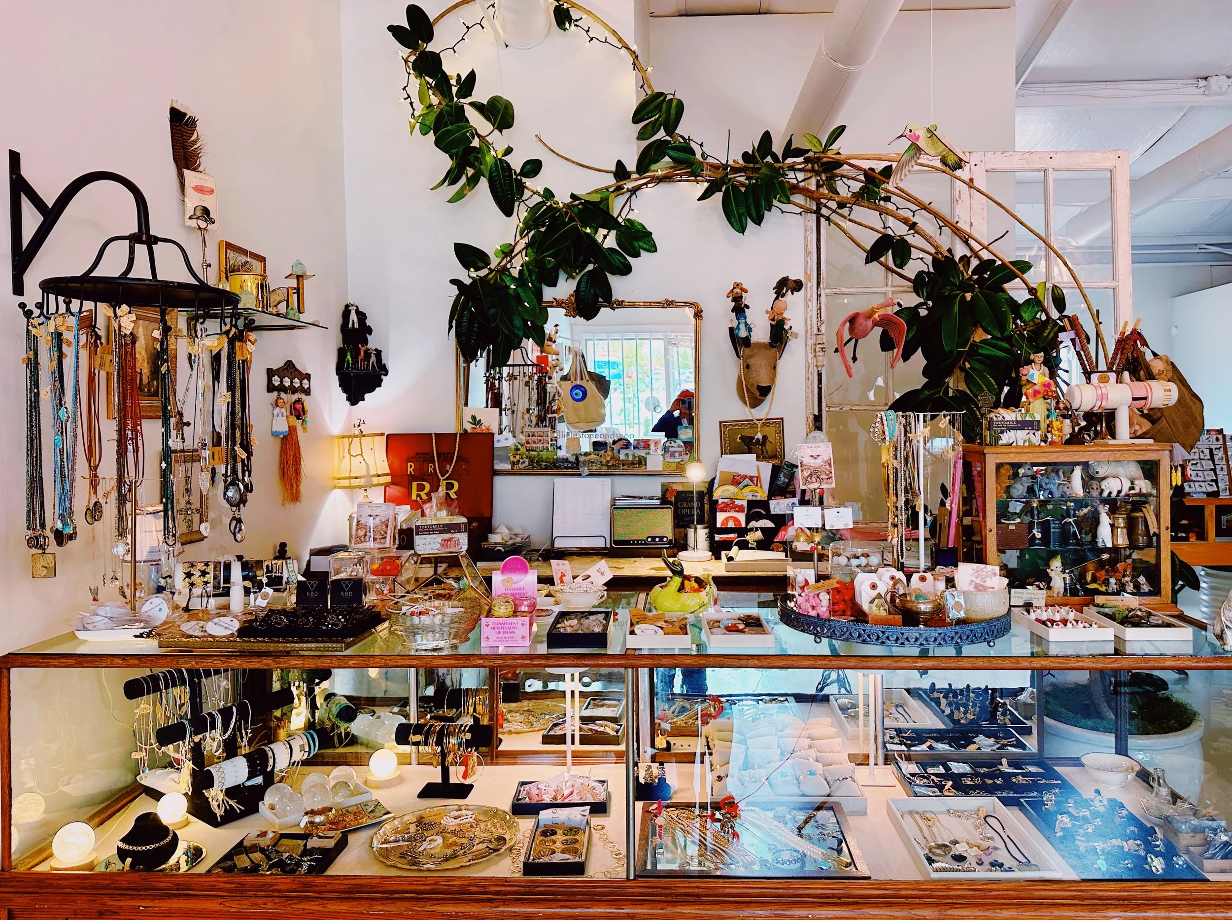 Inside Little Stone Shop. Jewelry display in a store, with necklaces hanging on a black rack, various decorative items and jewelry pieces on tables, and a large green plant with leaves and branches hanging from the ceiling.