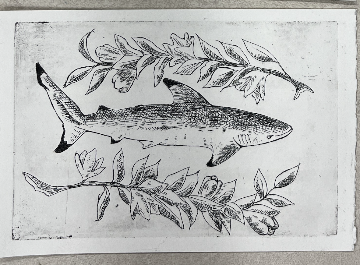 Screenshot 2026-02-16 at 11.16.54 AM.png