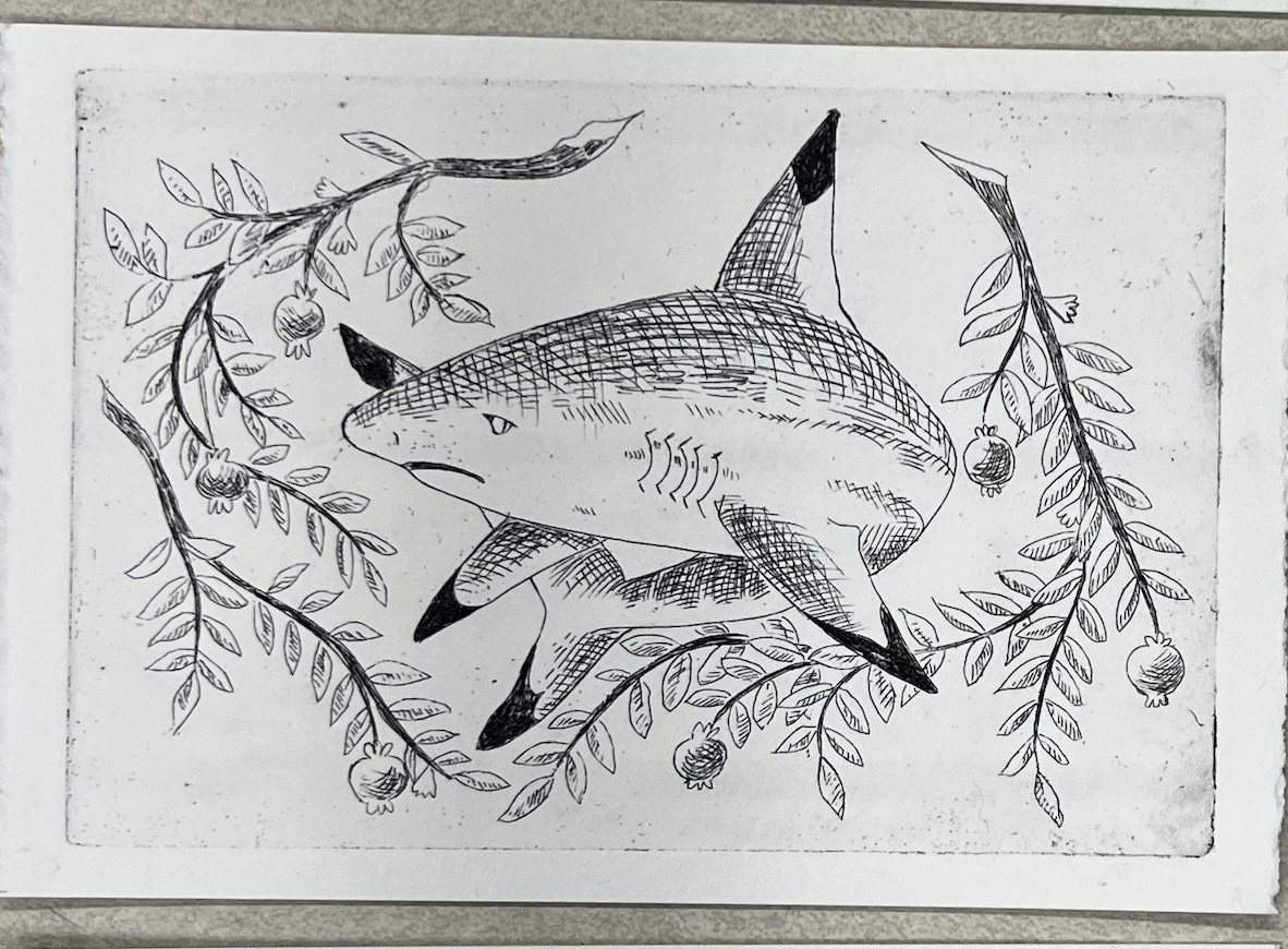 Screenshot 2026-02-16 at 11.16.43 AM.png