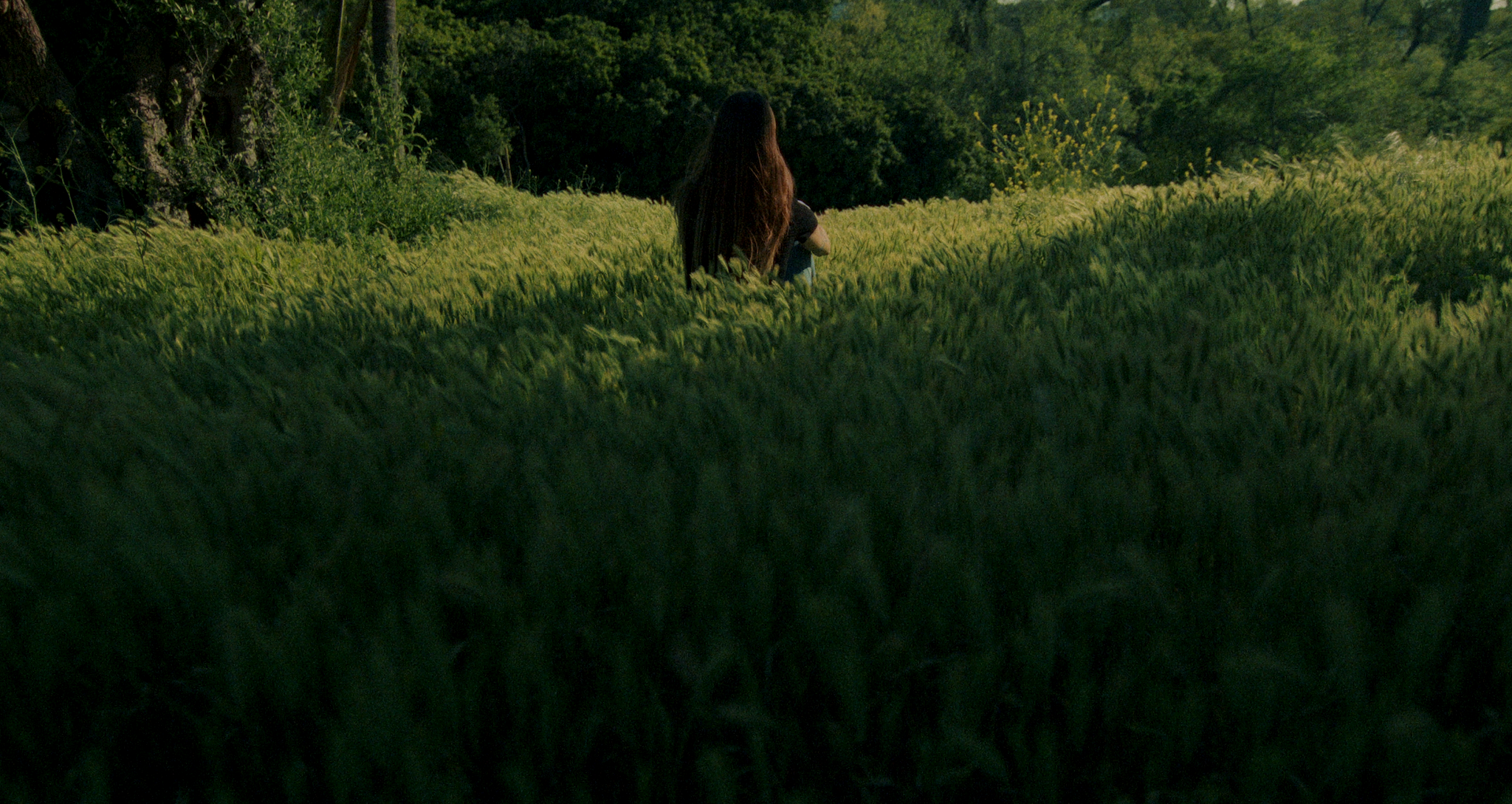 Lost In You Edit 2.00_04_08_23.Still018.PNG