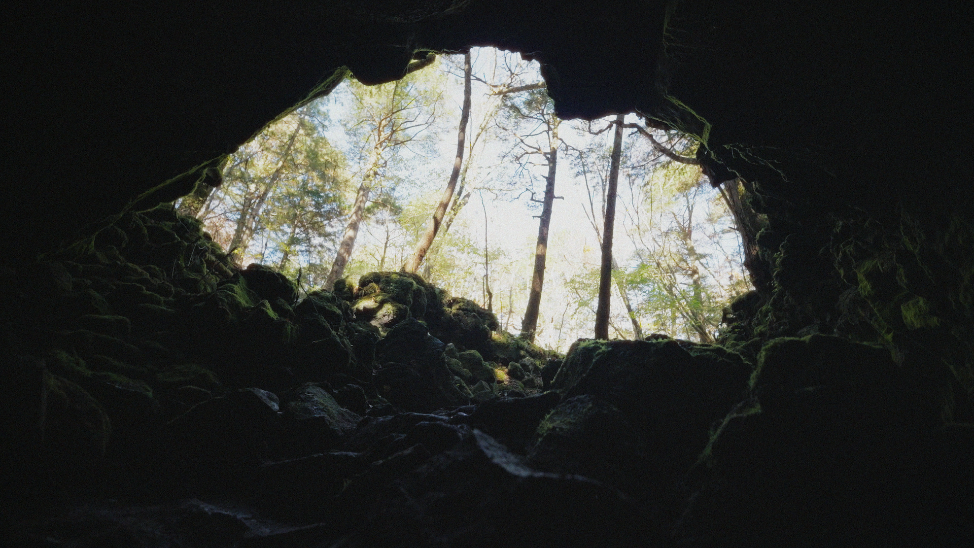 Still 2026-02-22 224223_1.1.18.png