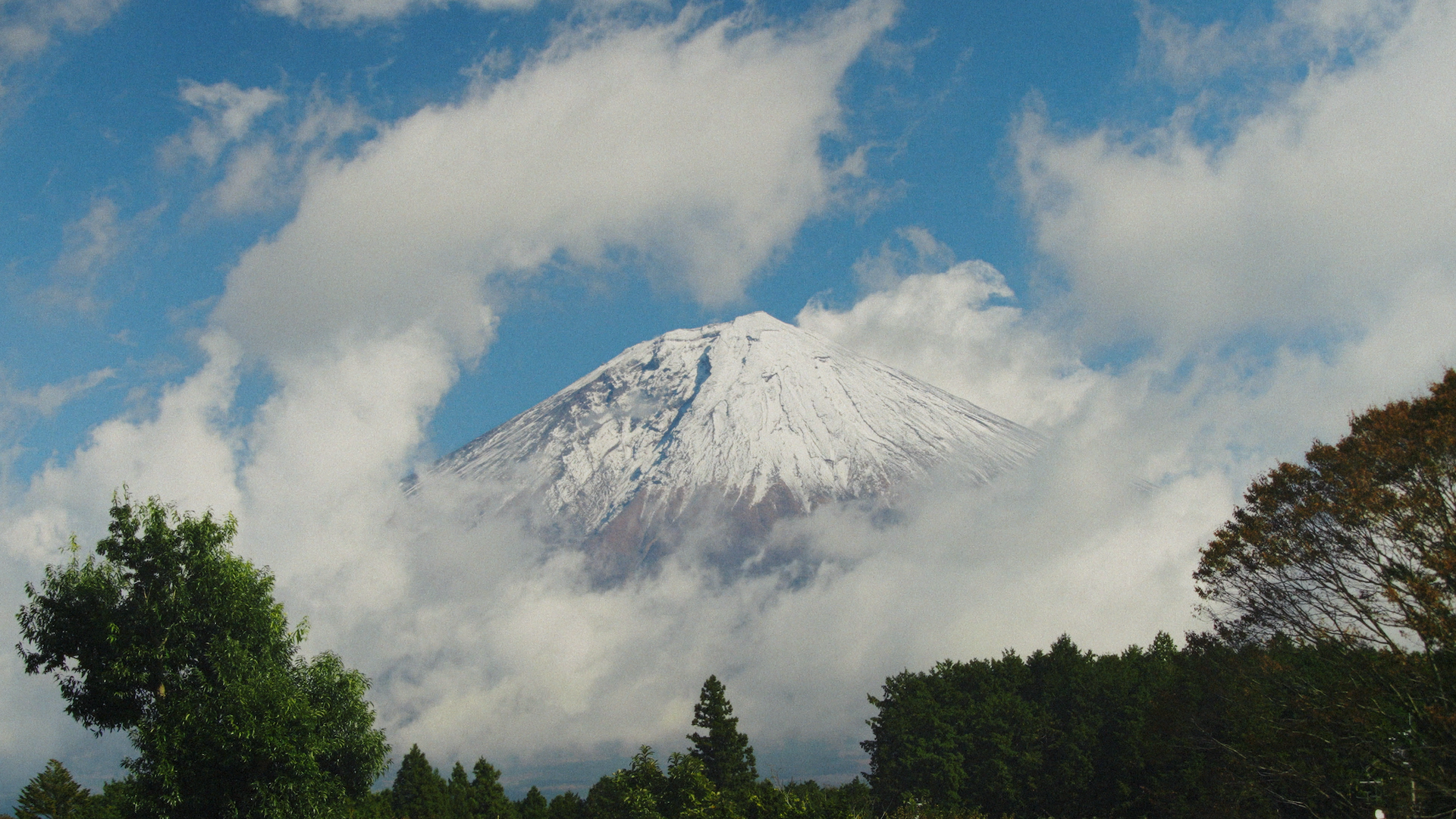 Still 2026-02-22 224223_1.1.19.png