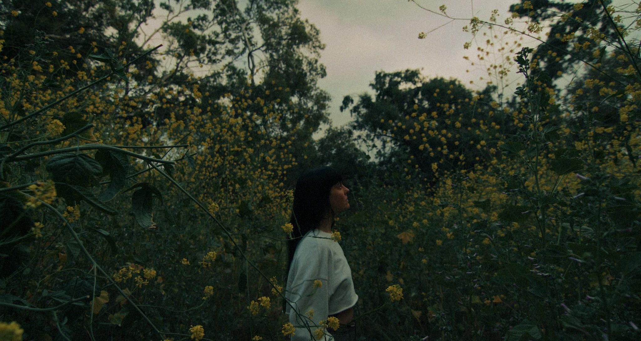 Lost In You Edit 2.00_04_35_19.Still021.PNG