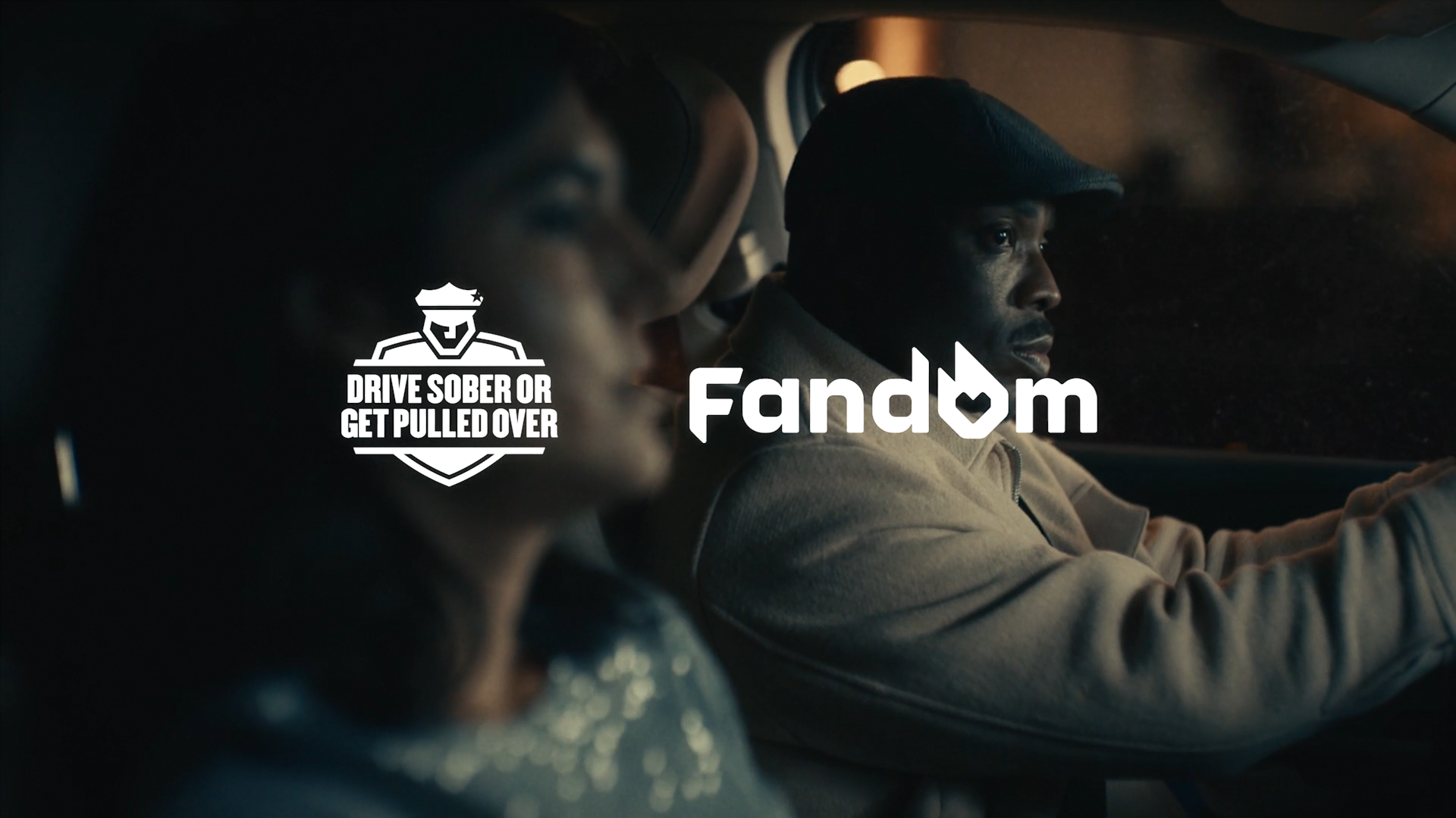 fandom cover 02_1.5.1.png