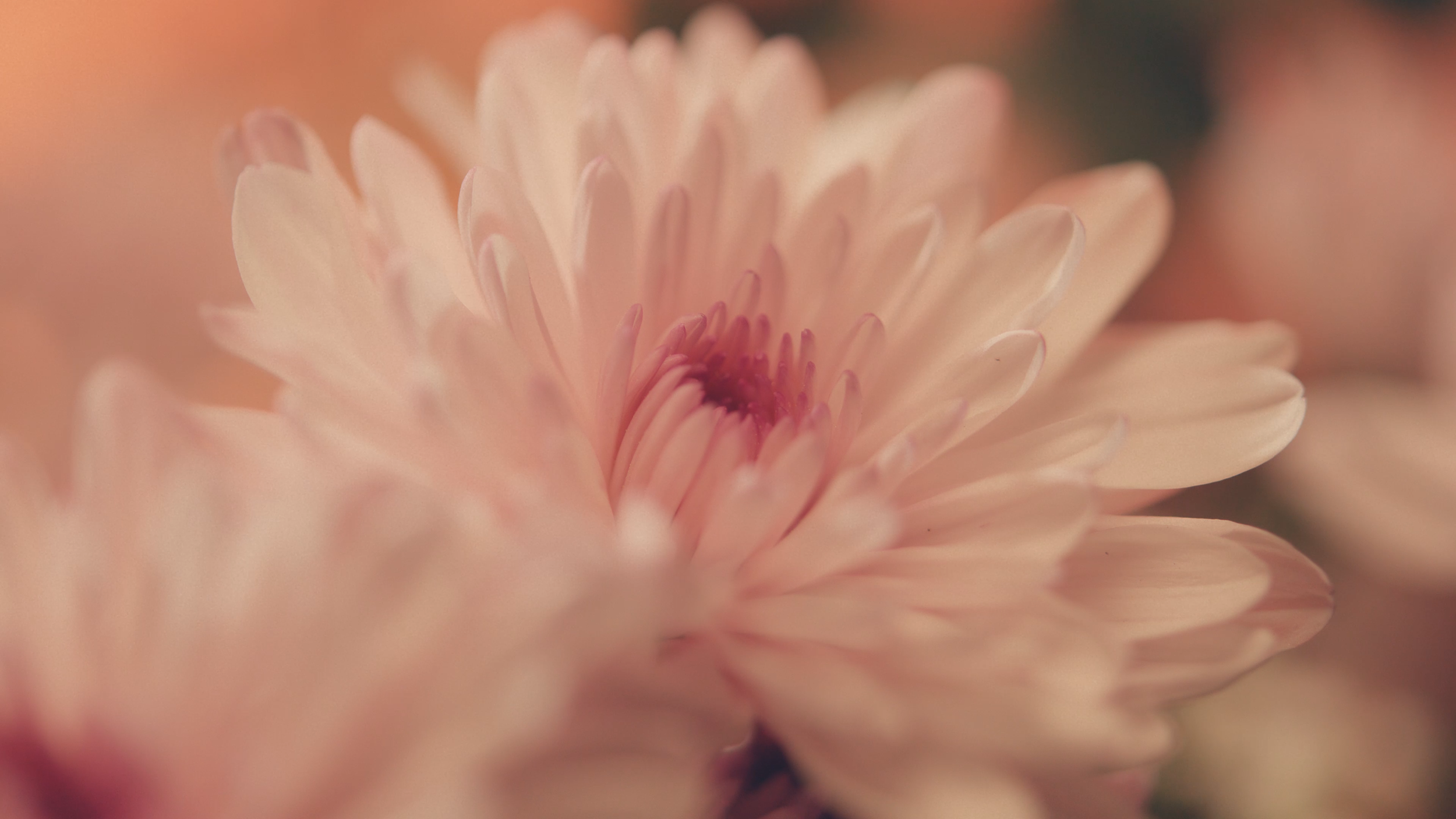 CHANEL SPEC_SOCIAL 16mm_FINAL (04.04.23).00_00_47_05.Still008.PNG