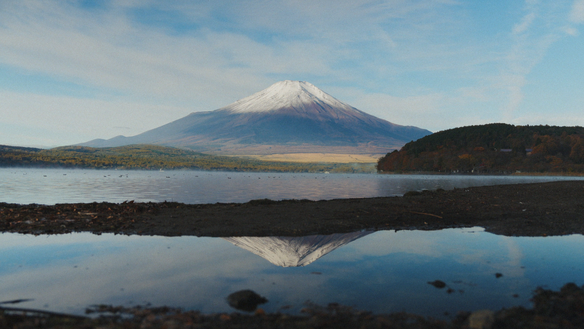 Still 2026-02-22 224223_1.1.17.png