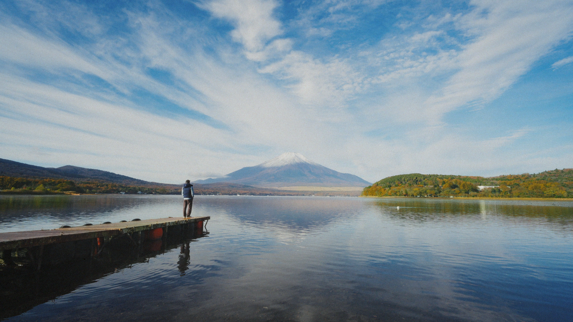 Still 2026-02-22 224223_1.1.5.png