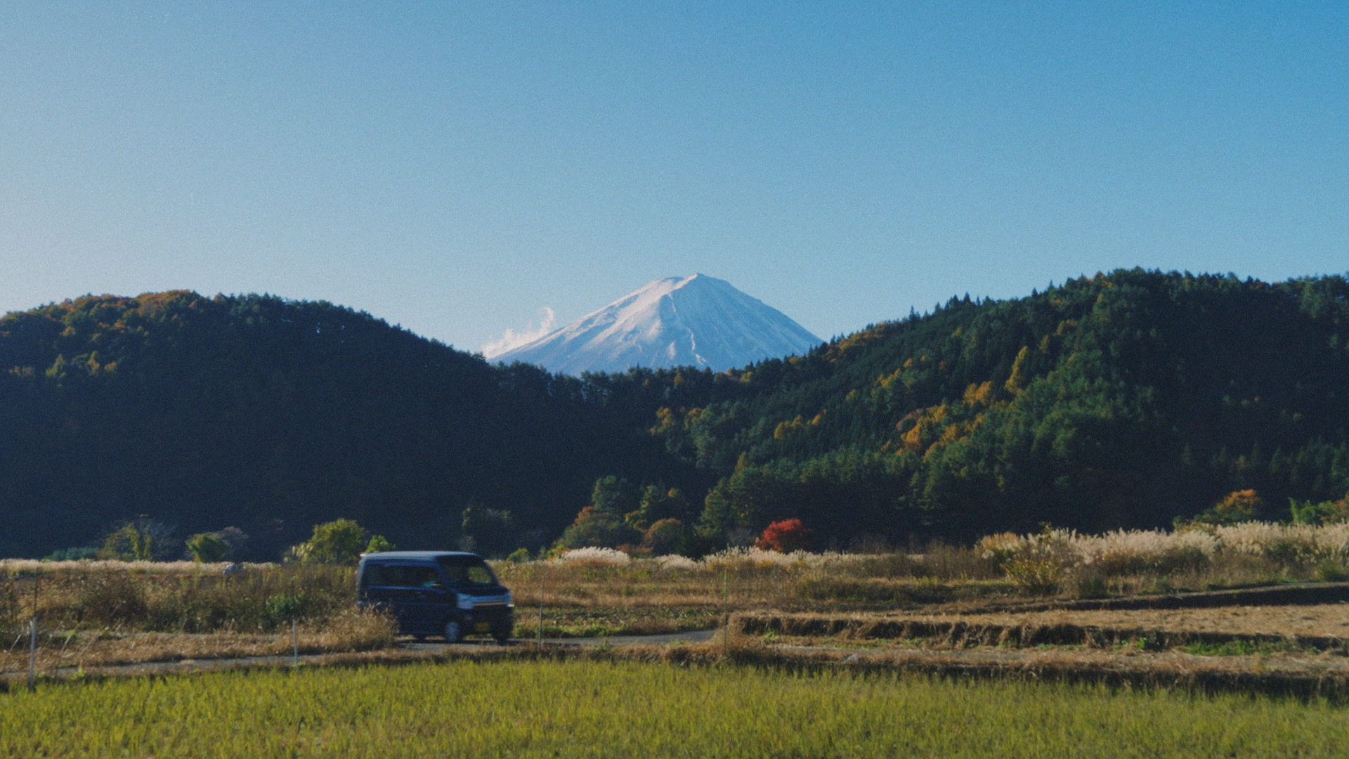 Still 2026-02-22 224223_1.1.11.png