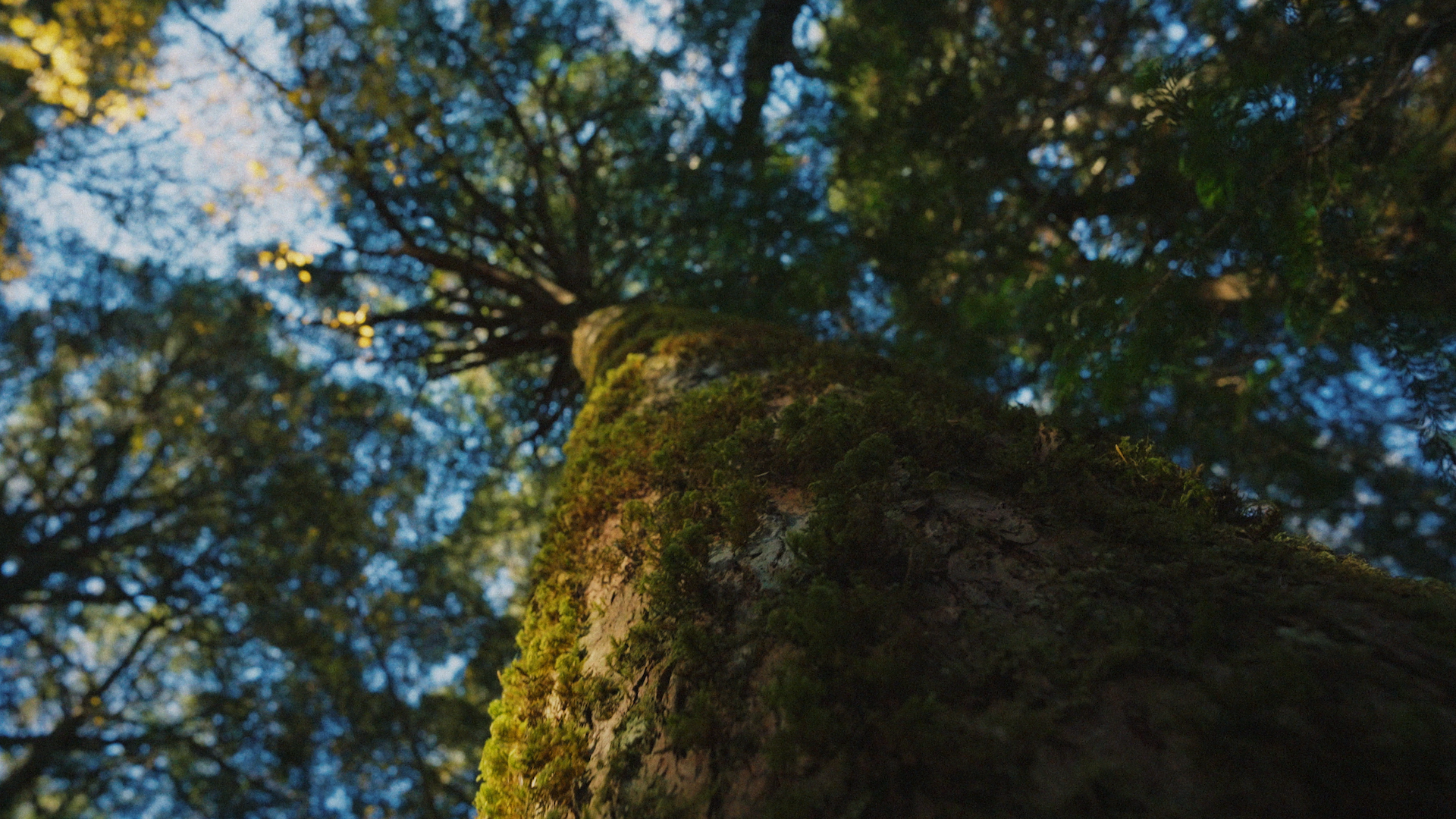 Still 2026-02-22 224223_1.1.9.png