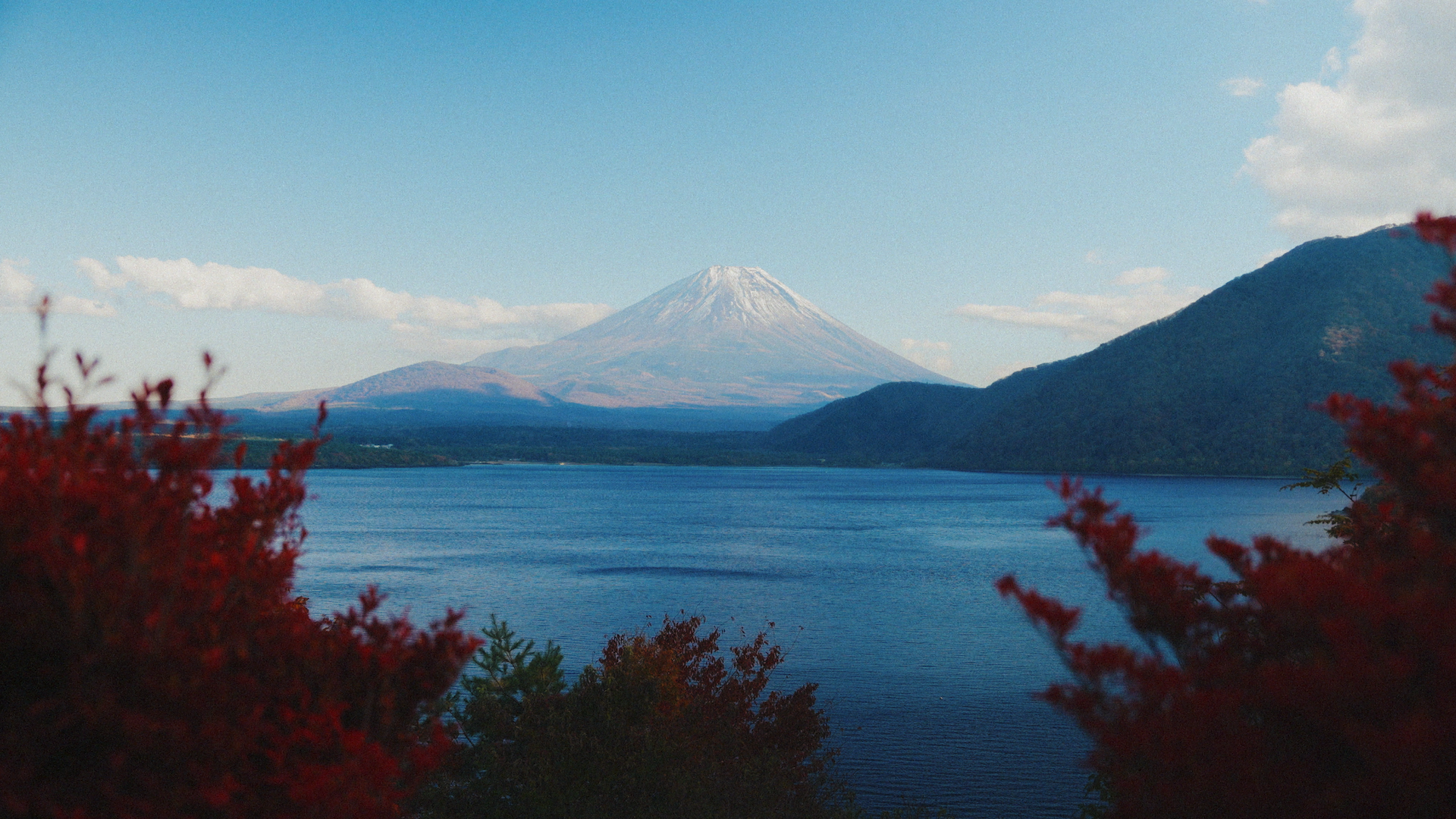 Still 2026-02-22 224223_1.1.27.png