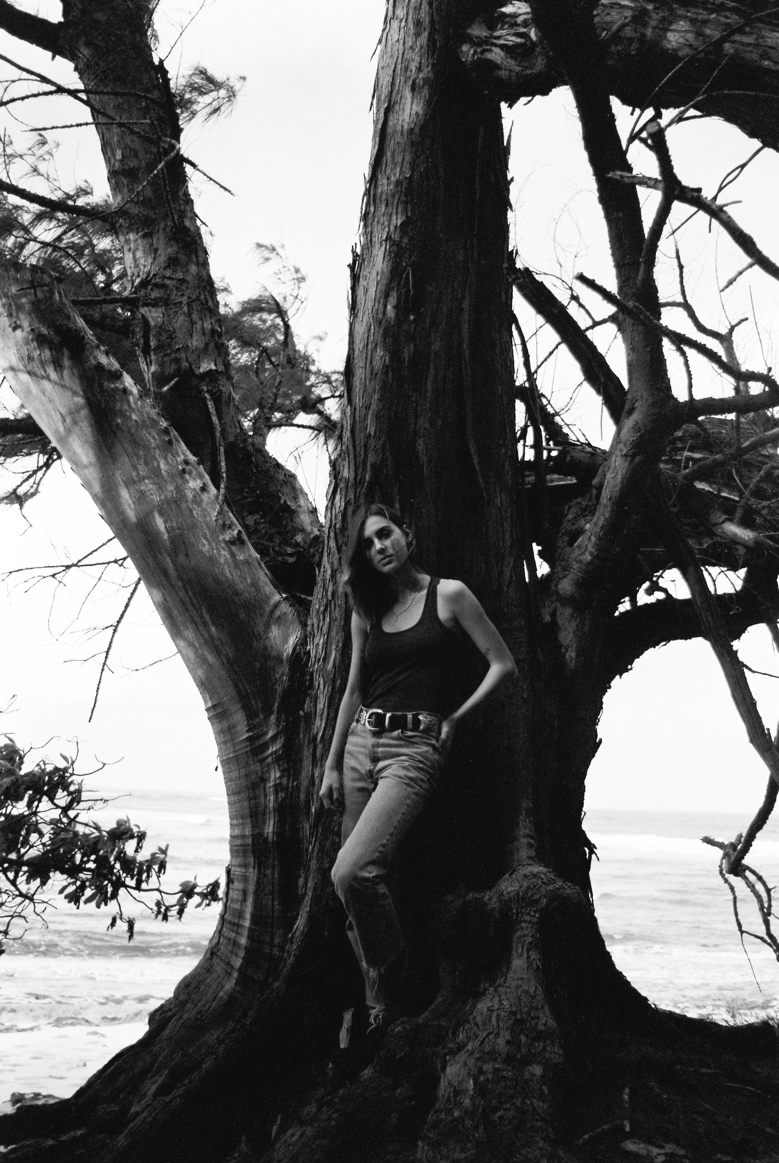 58782DTtan127007025 copy.jpg