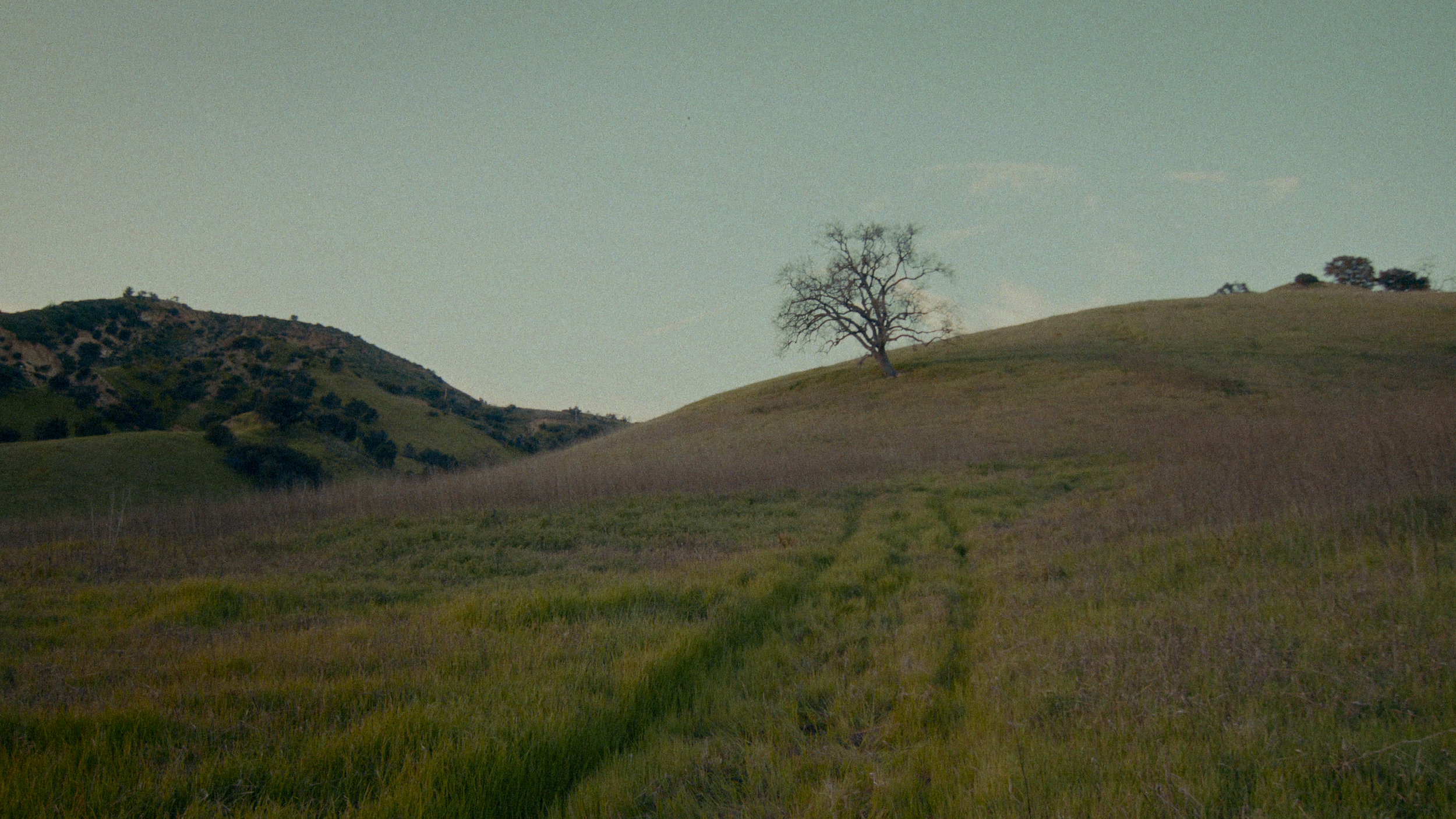 CG Spring '23 50s Edit 3 Color Rev 13.PNG