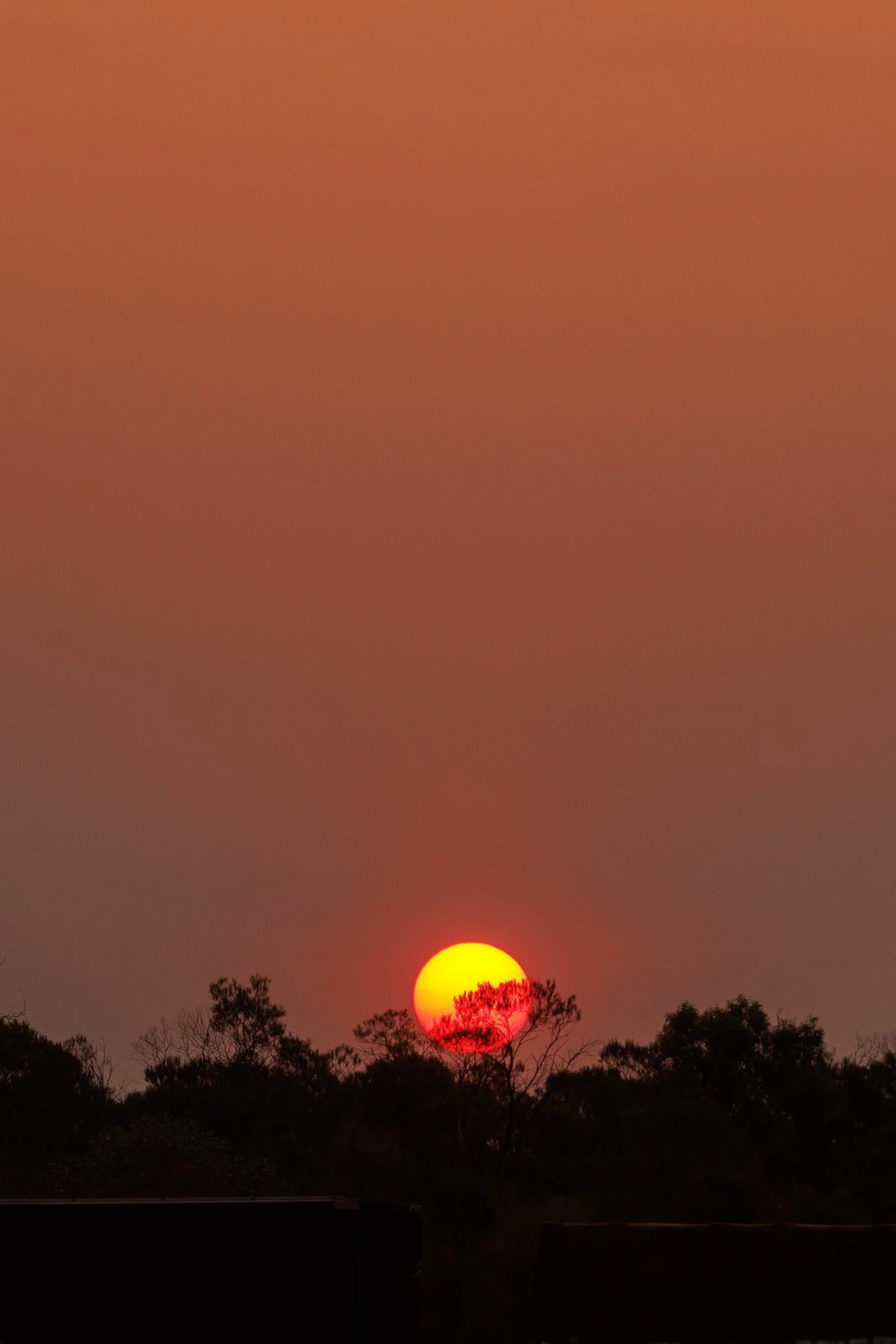 AWS17 - Sunswift_LR-1455.jpg