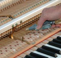 Standard Service Call