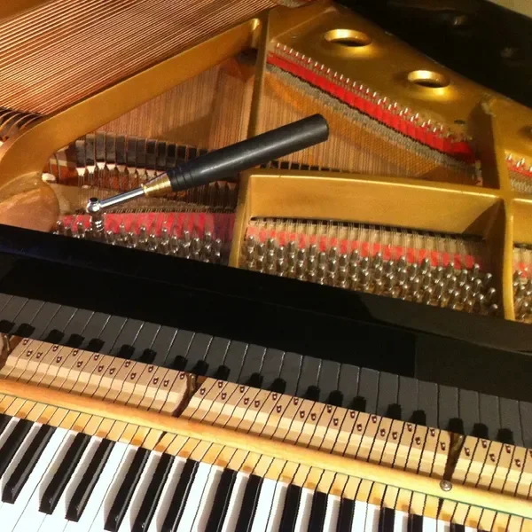 Close-up of the inside of a grand piano showing strings, tuning pins, and part of the keyboard.