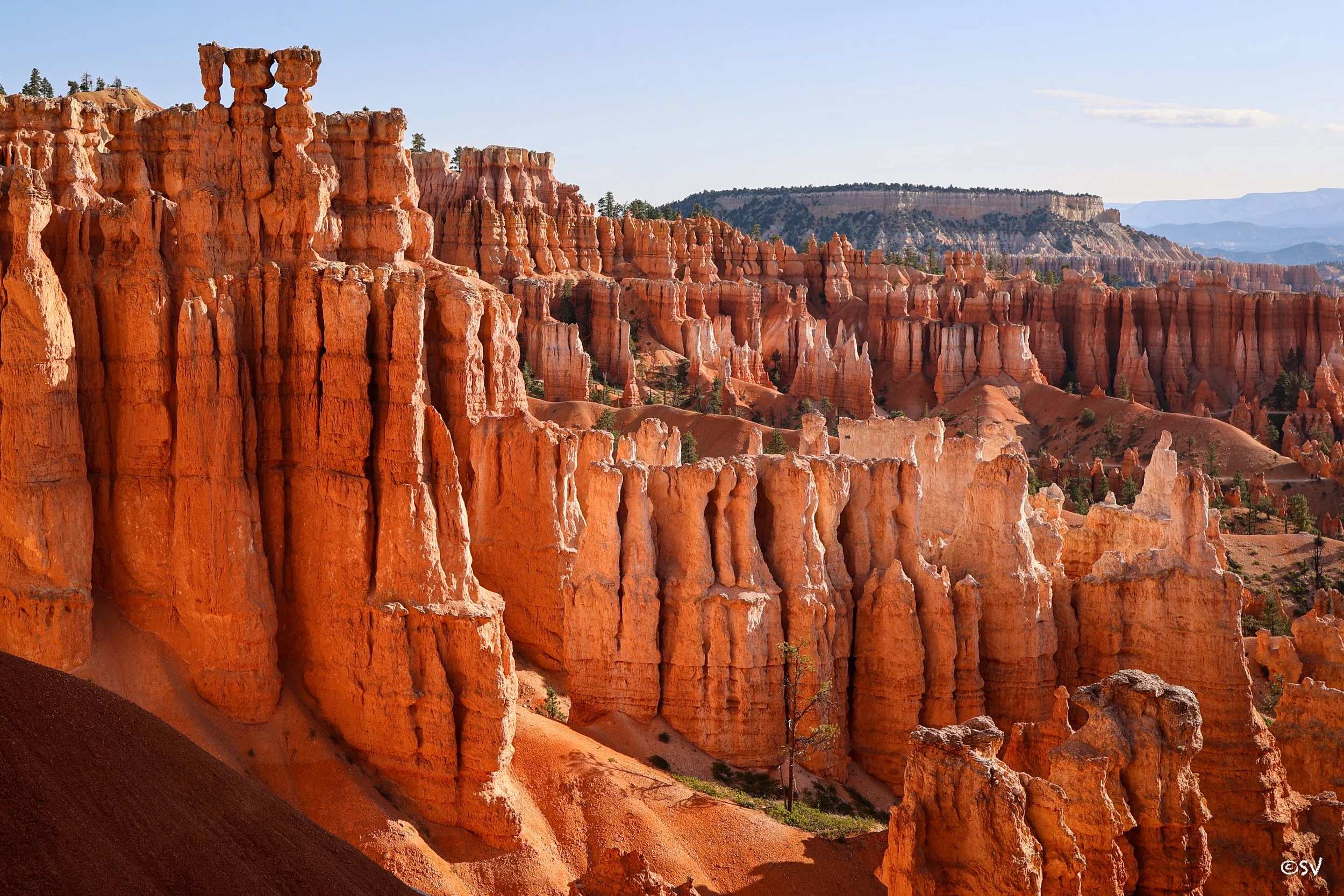Hoodoo you dream of?! (Bryce Canyon, USA) 